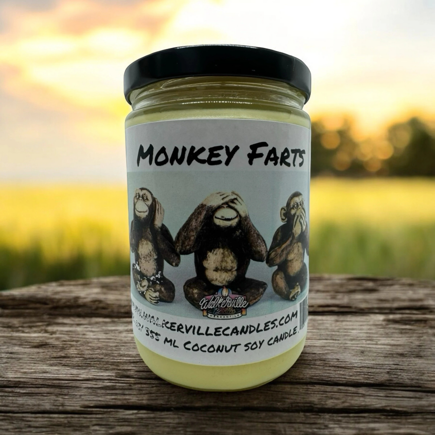 Monkey Farts 100% Coconut Soy Eco-friendly 12 oz Candle