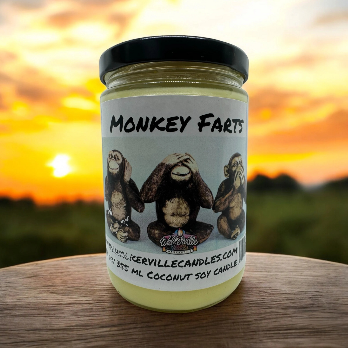 Monkey Farts 100% Coconut Soy Eco-friendly 12 oz Candle