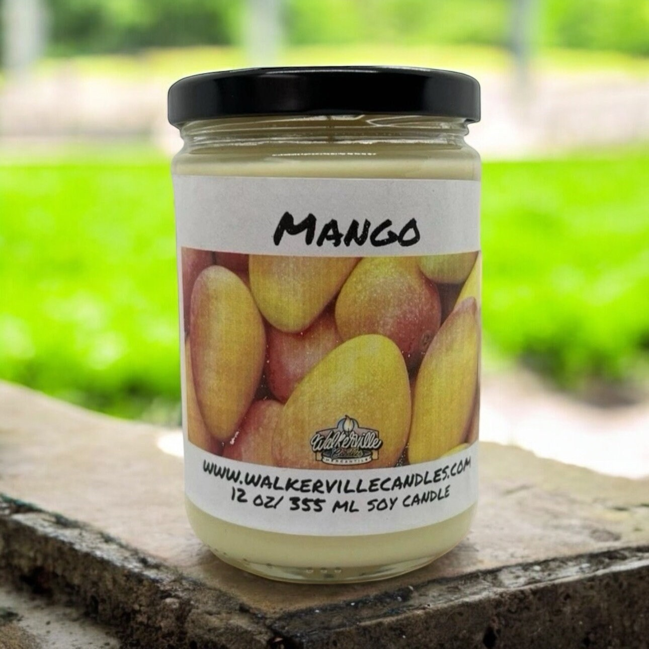 Mango 100% Coconut Soy Eco-friendly 12 oz Candle Wood Wick