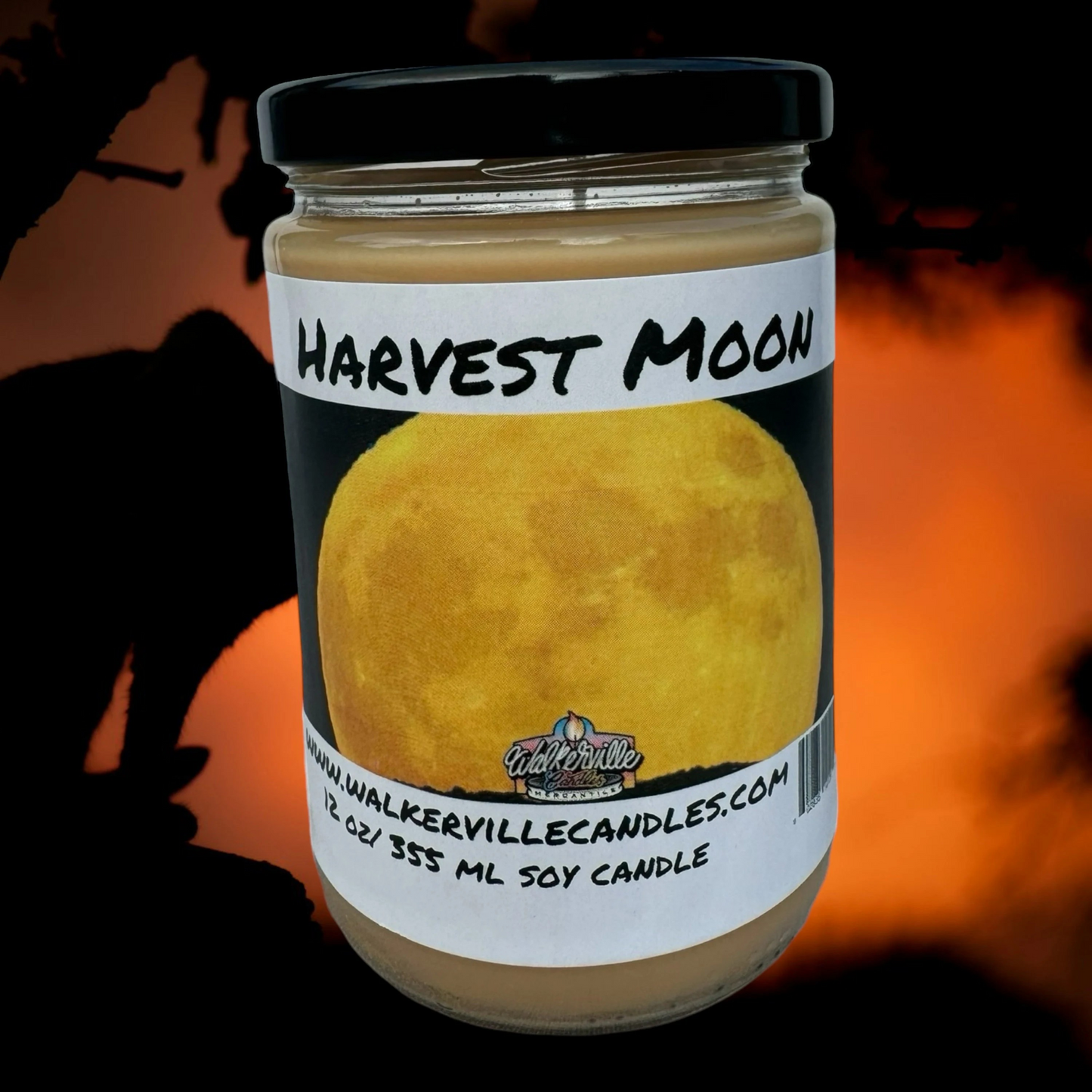 Harvest Moon 100% Coconut Soy Eco-friendly 12 oz Candle Wood Wick