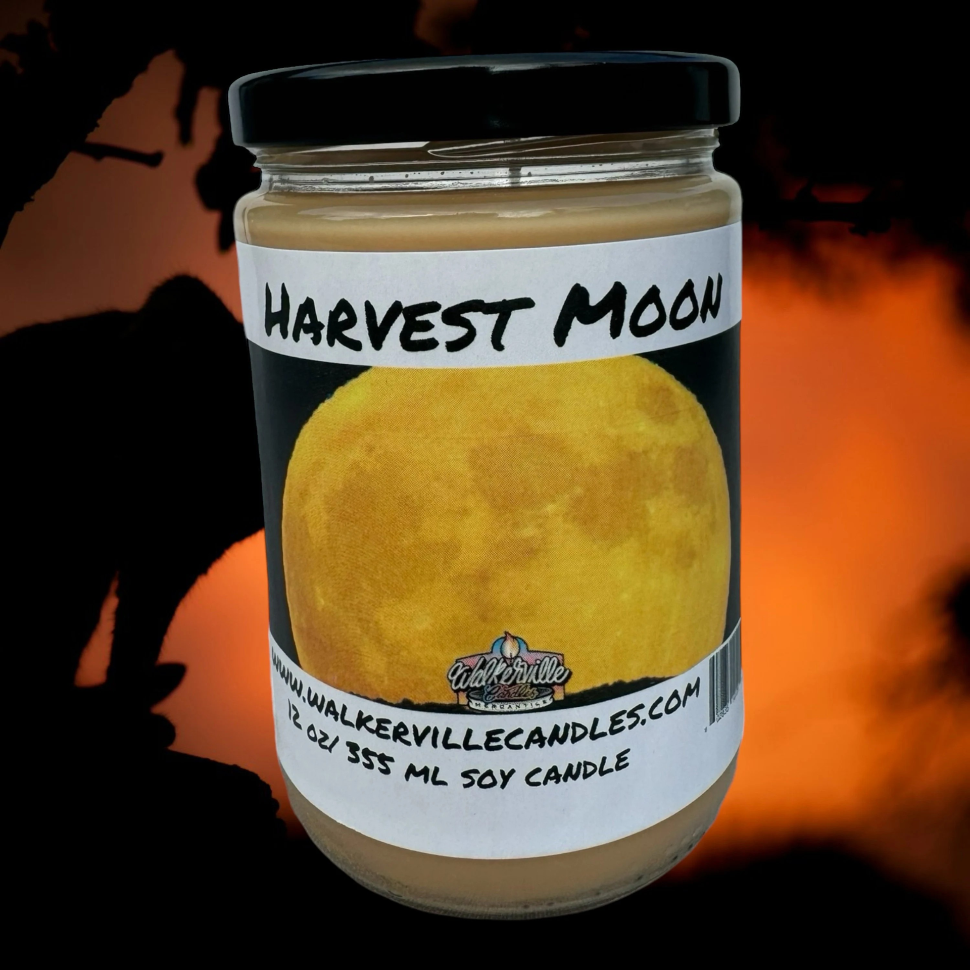 Harvest Moon Vegan Coconut Soy 12 oz/ 355 ml Candle Hand-poured, Eco-friendly, Clean Burning, Woodsy/ Clean Fruity