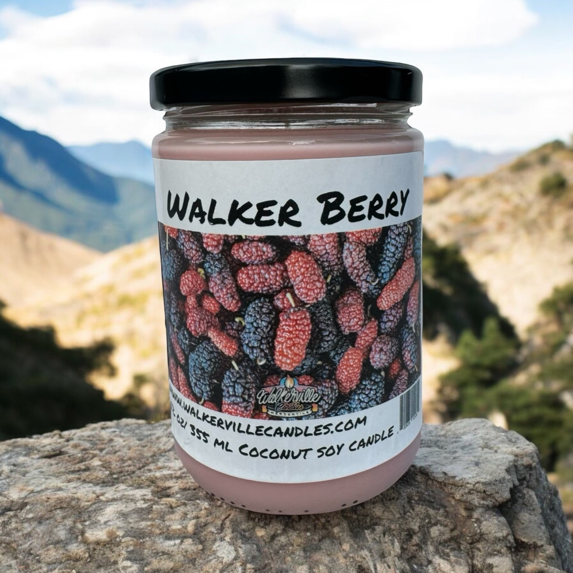 Walker Berry Vegan Coconut Soy 12 oz/ 355 ml Candle Hand-poured, Eco-friendly, Clean Burning, Fruity Wood Wick