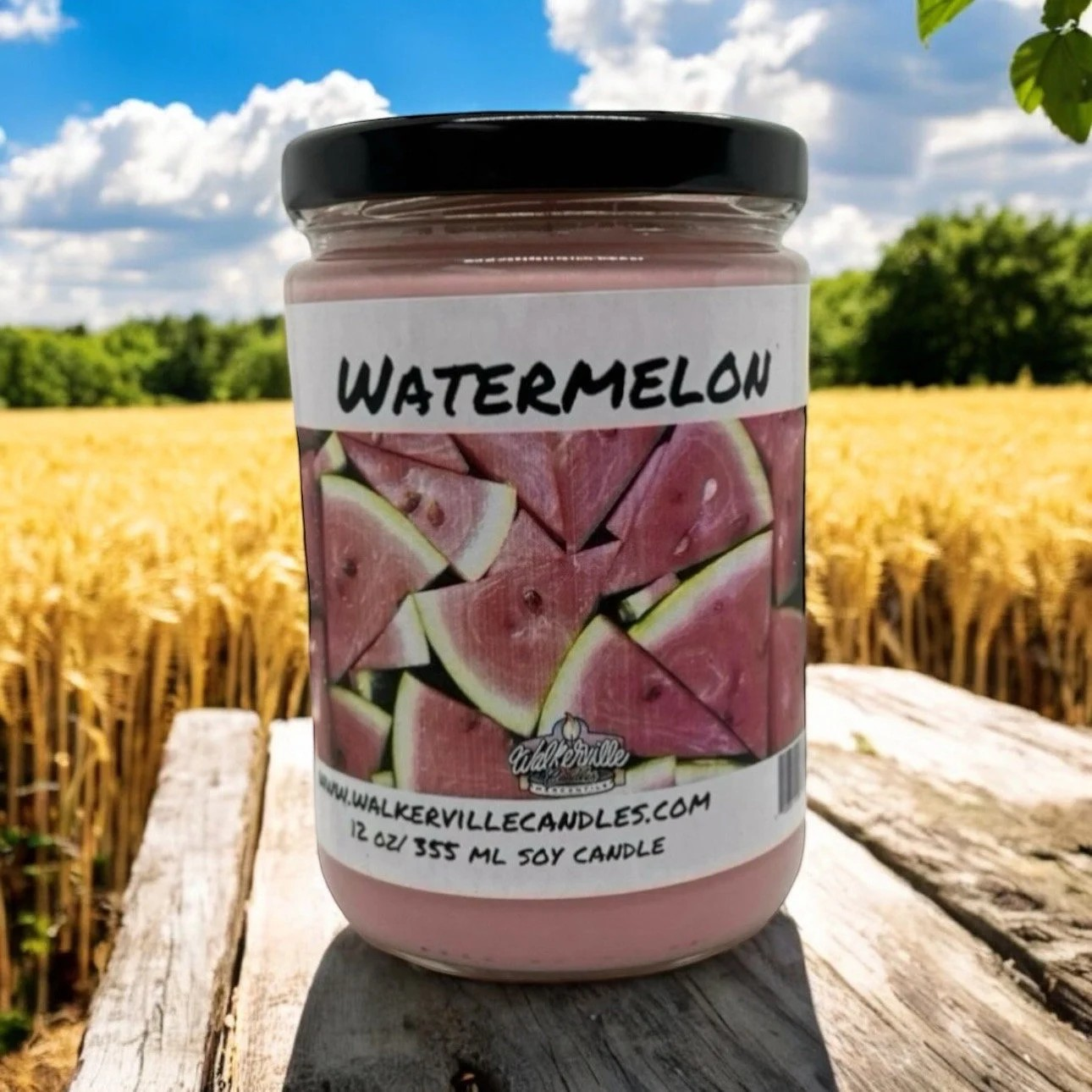 Watermelon 100% Coconut Soy Eco-friendly 12 oz Candle