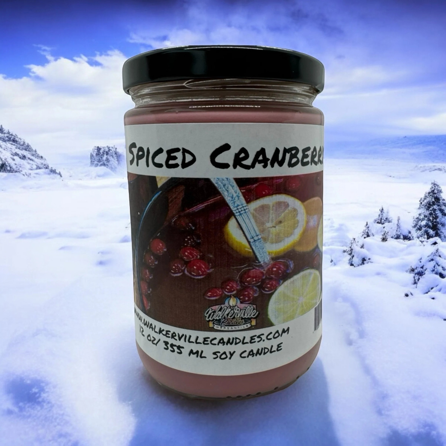 Spiced Cranberry 100% Coconut Soy Eco-friendly 12 oz Candle
