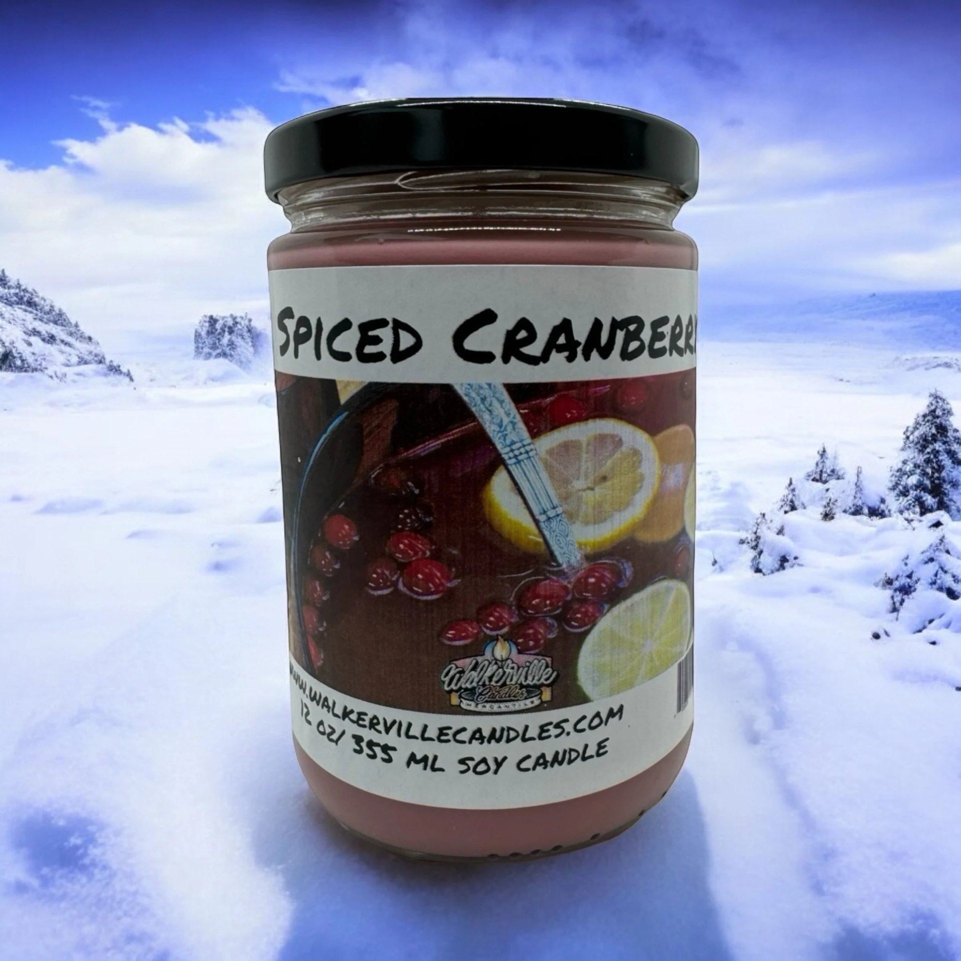 Spiced Cranberry Vegan Coconut Soy 12 oz/ 355 ml Candle Hand-poured, Eco-friendly, Clean Burning, Bakery, Food, Drink Christmas