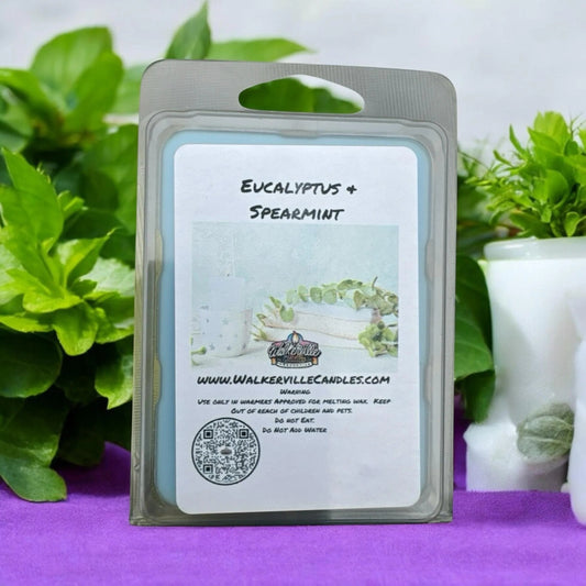 Eucalyptus & Spearmint Vegan Soy wax, Hand-poured, Eco-friendly Fruity Floral Wax Melt
