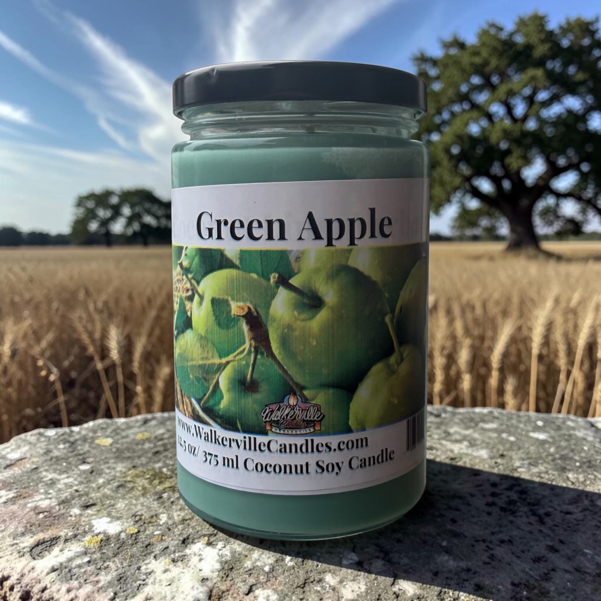 Green Apple Coconut Soy 12.5 oz/ 375 ml Candle
