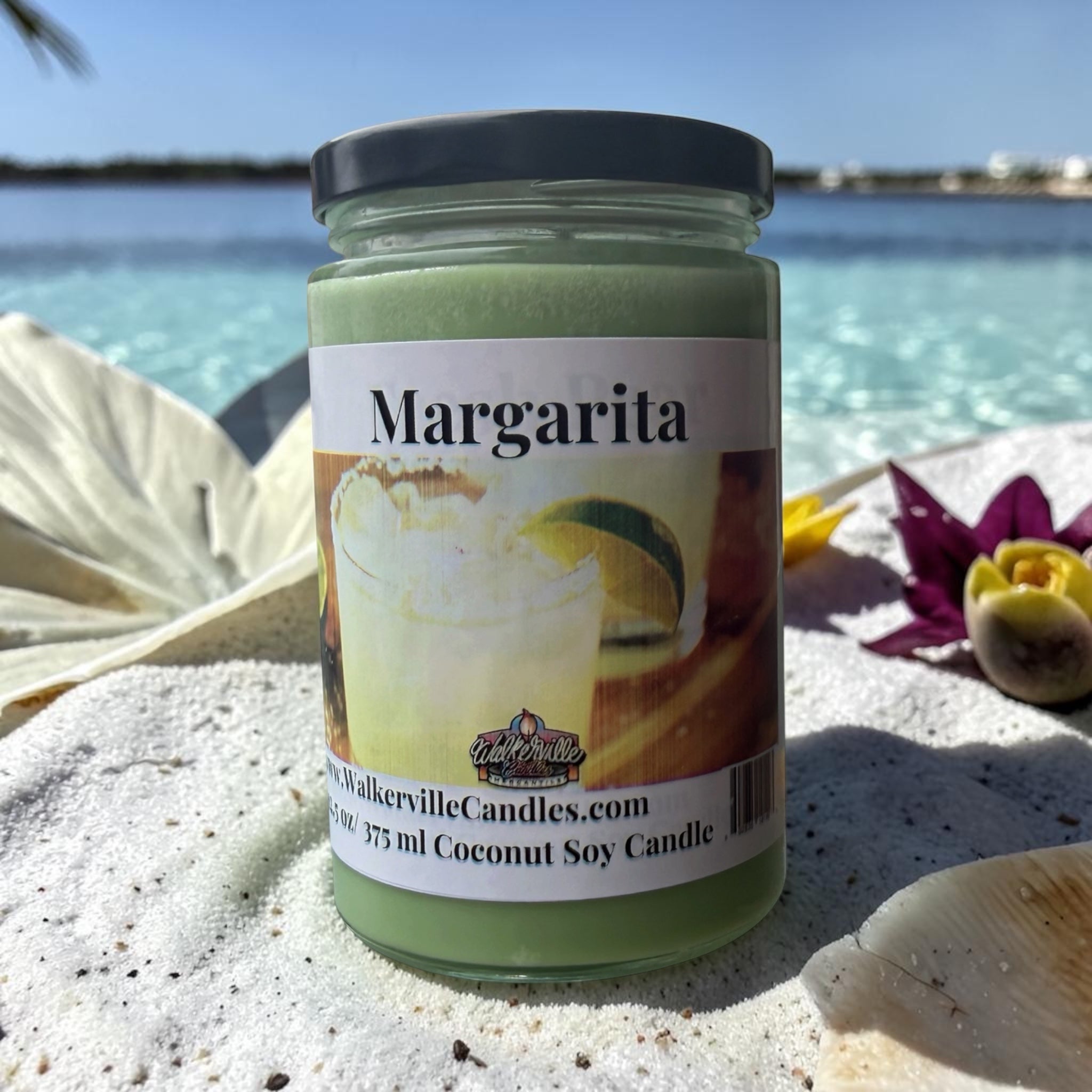 Margarita Coconut Soy 12.5 oz/ 375 ml Candle Wood Wick