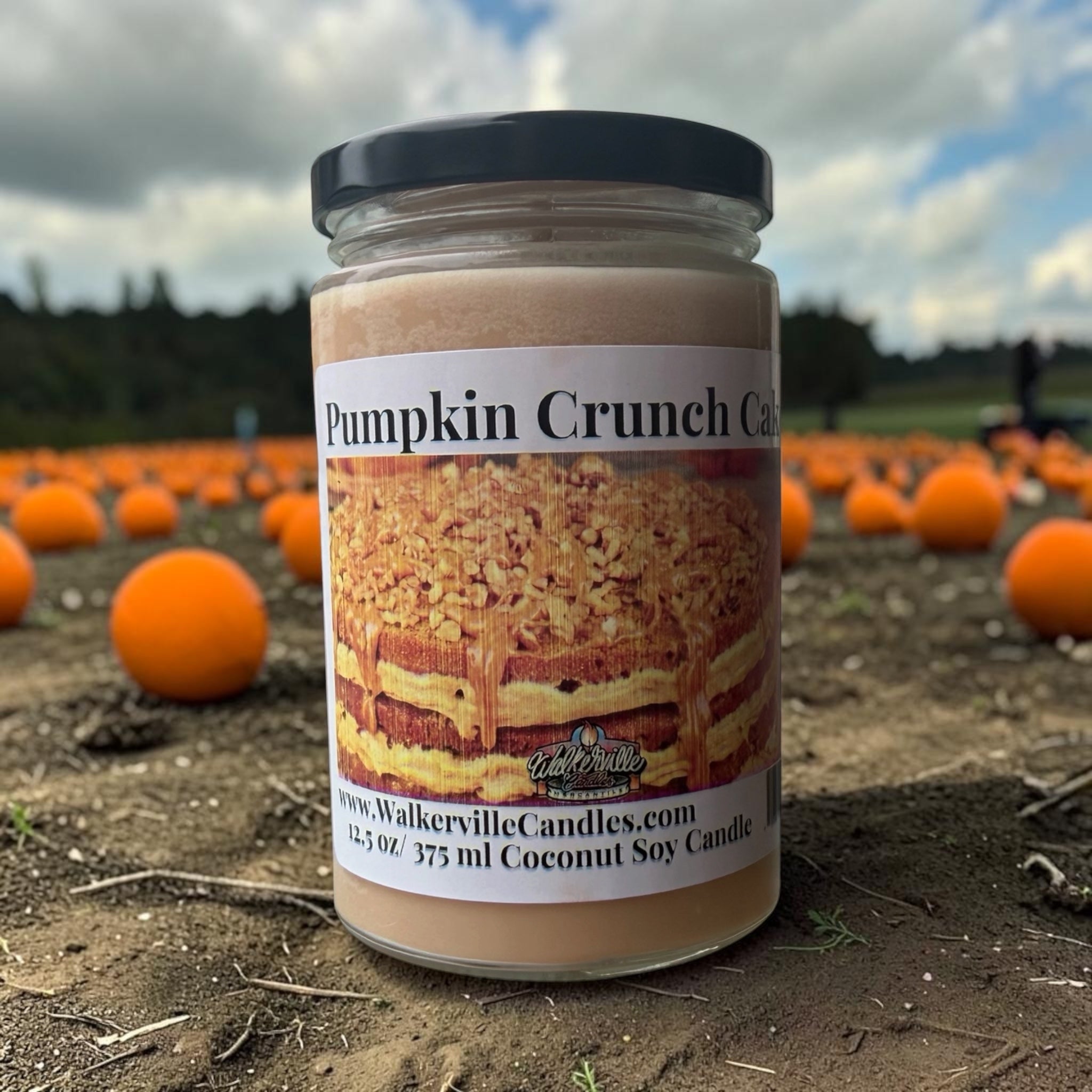 Pumpkin Crunch Cake Coconut Soy 12.5 oz/ 375 ml Candle Wood Wick