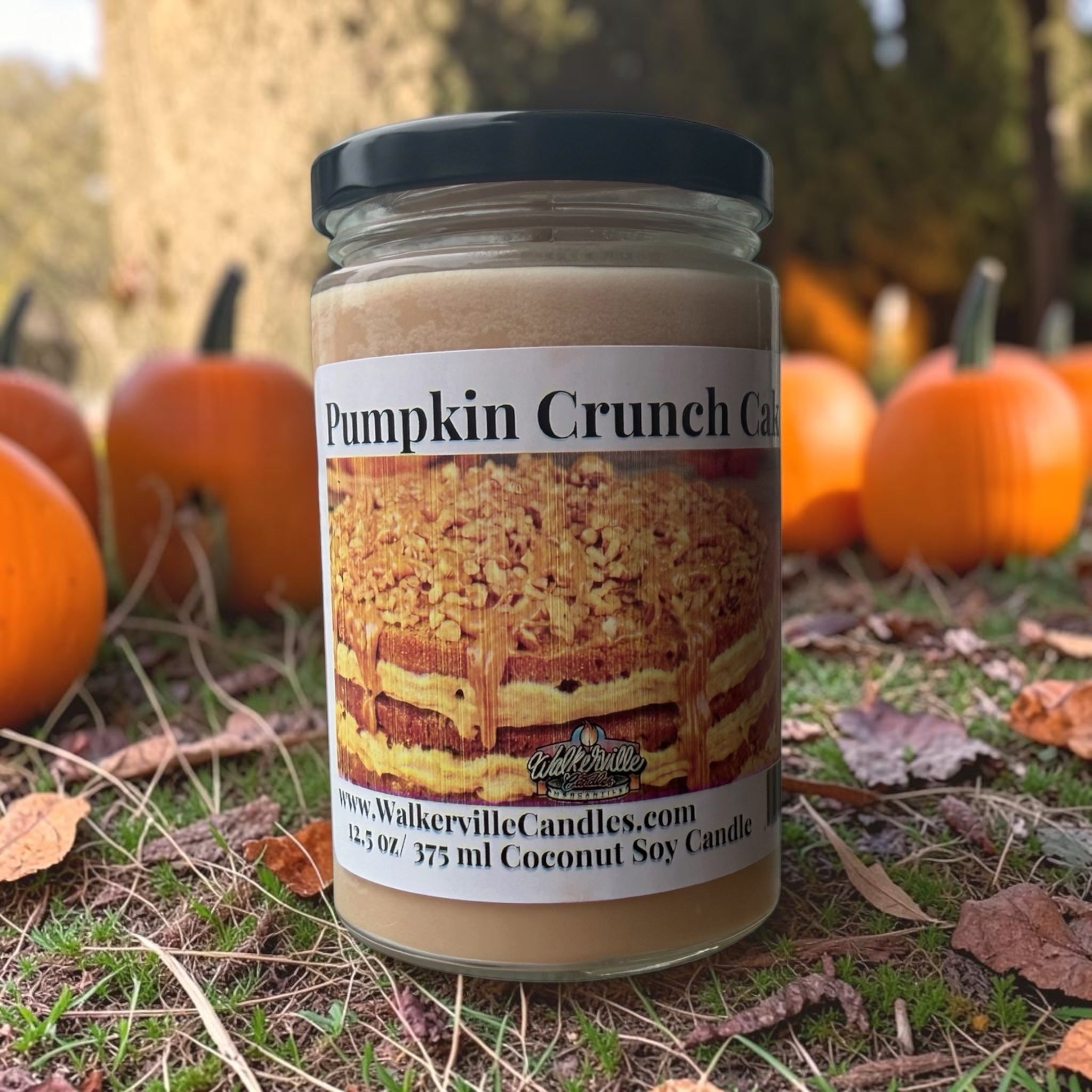 Pumpkin Crunch Cake Coconut Soy 12.5 oz/ 375 ml Candle Wood Wick