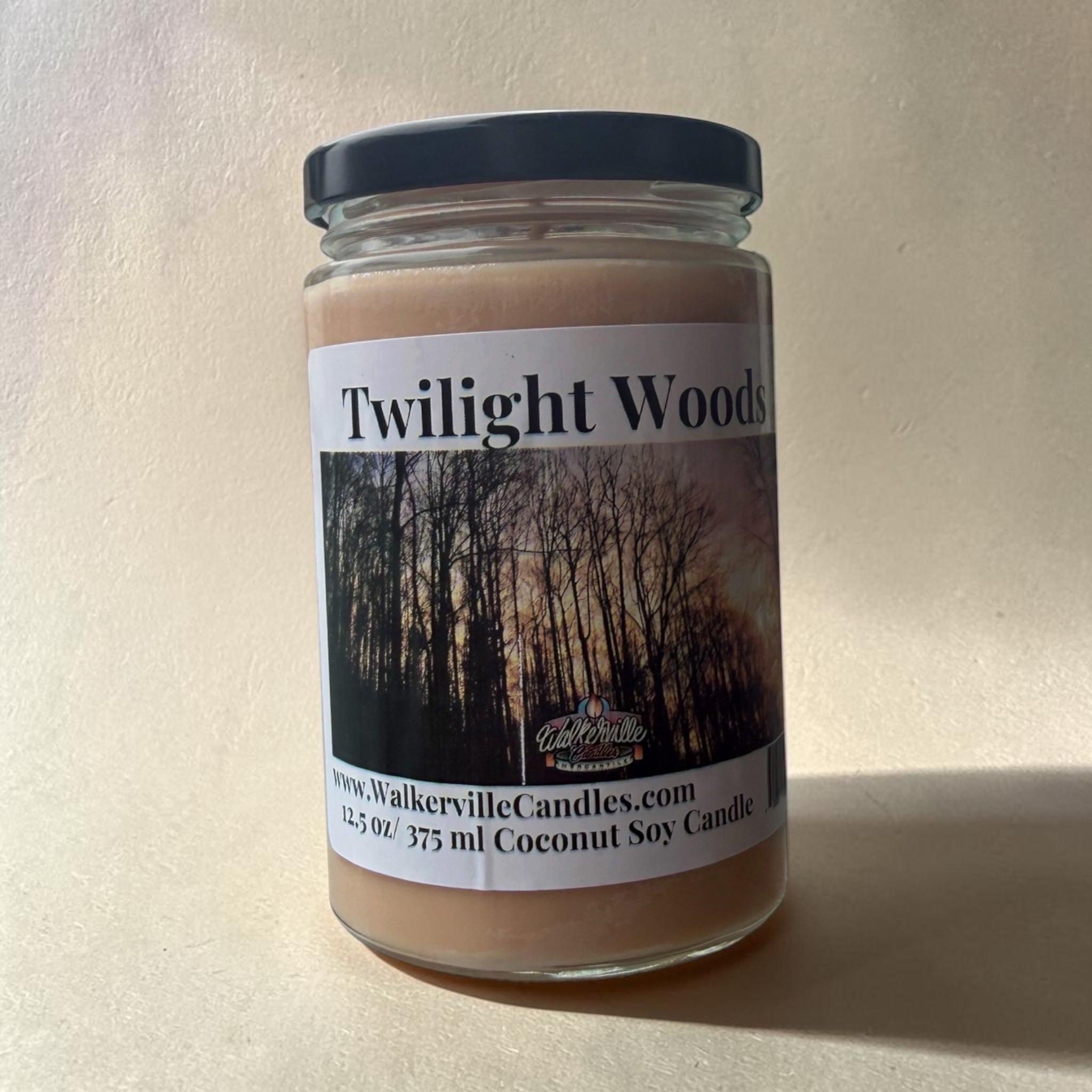 Twilight Woods Coconut Soy 12.5 oz/ 375 ml Candle