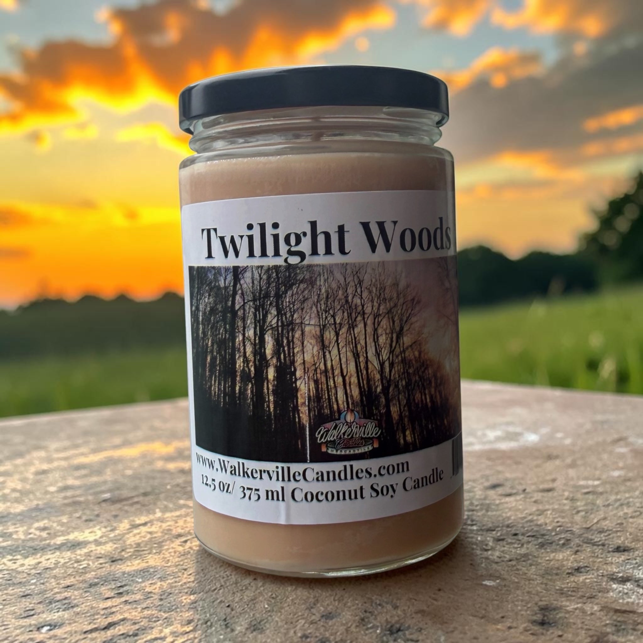 Twilight Woods Coconut Soy 12.5 oz/ 375 ml Candle