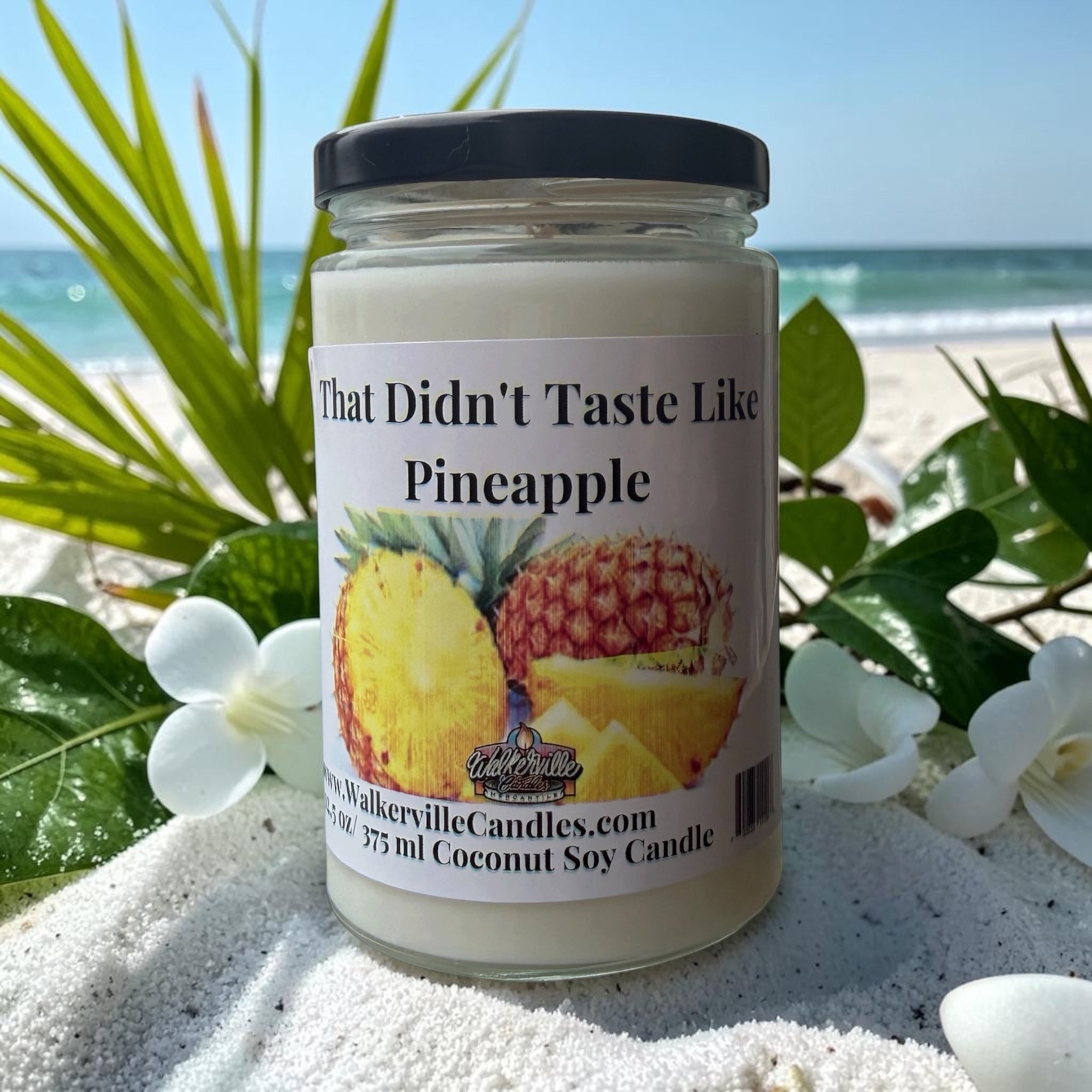 That Didn't Taste Like Pineapple Coconut Soy 12.5 oz/ 375 ml Candle Wood Wick