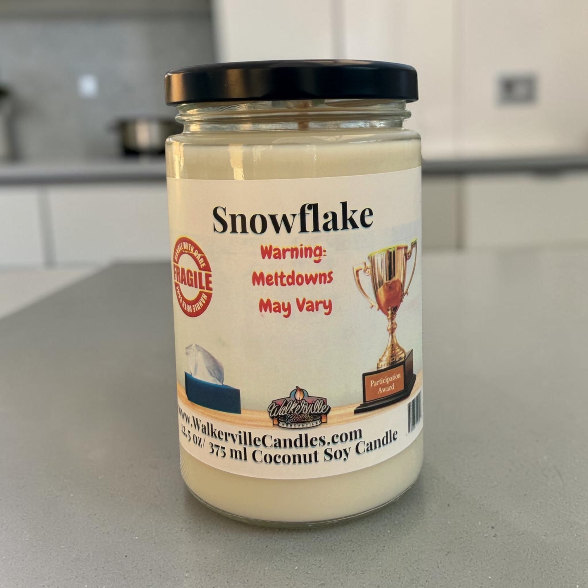 Snowflake Coconut Soy 12.5 oz/ 375 ml Candle