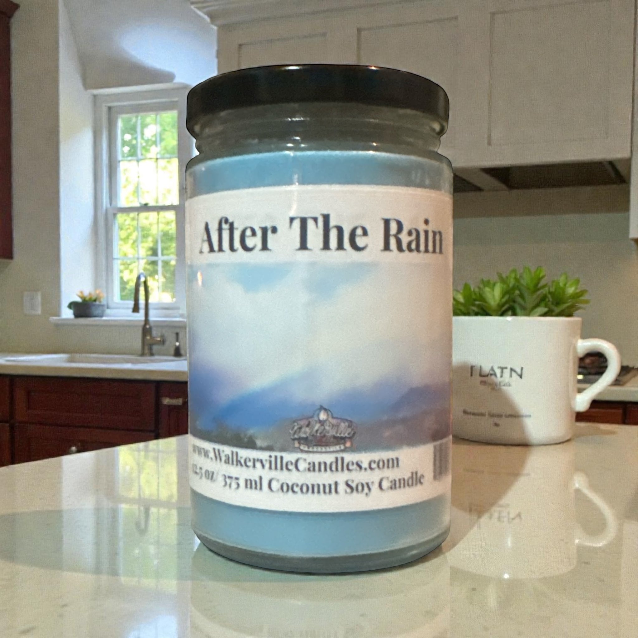 After The Rain Vegan Coconut Soy 12.5 oz/ 375 ml Candle Hand-poured, Eco-friendly, Clean Burning