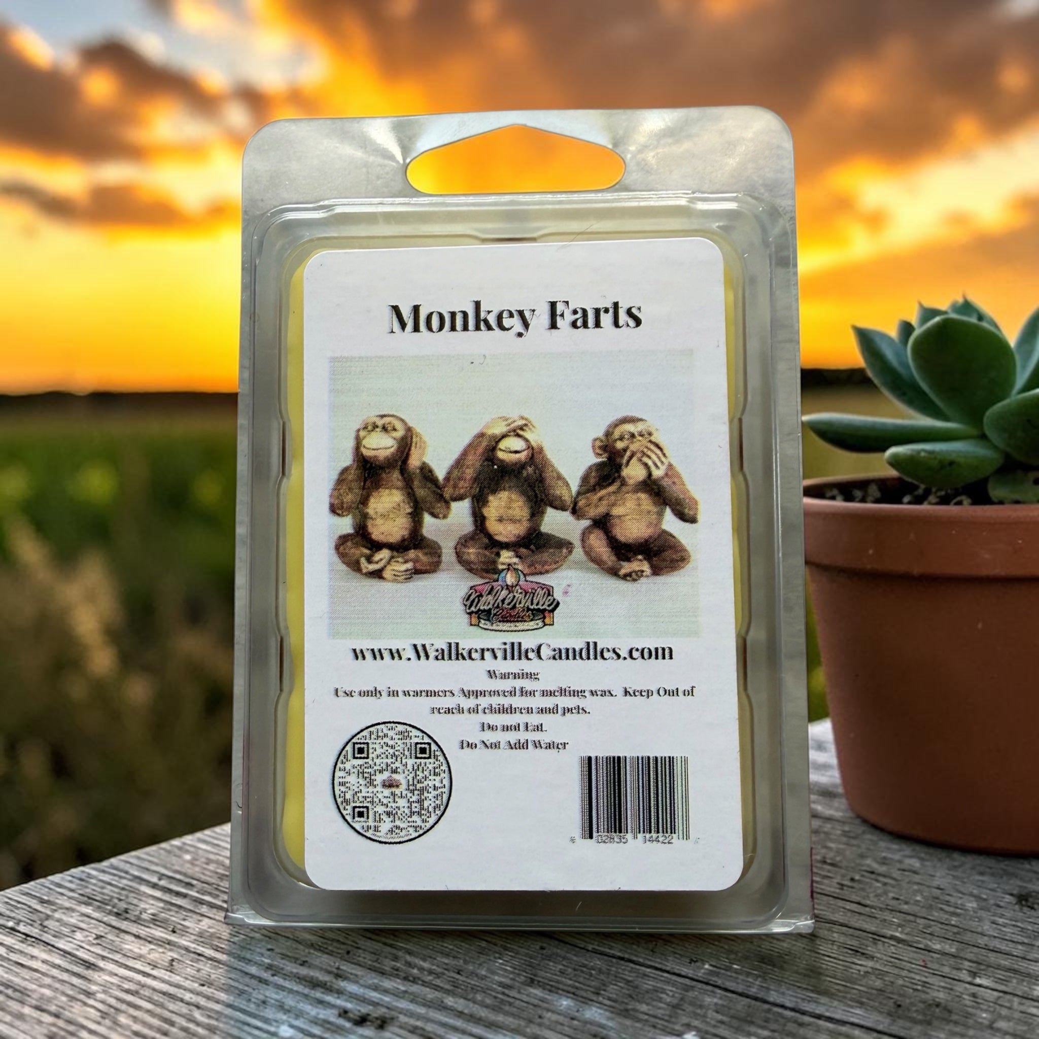 Monkey Farts Wax Melt