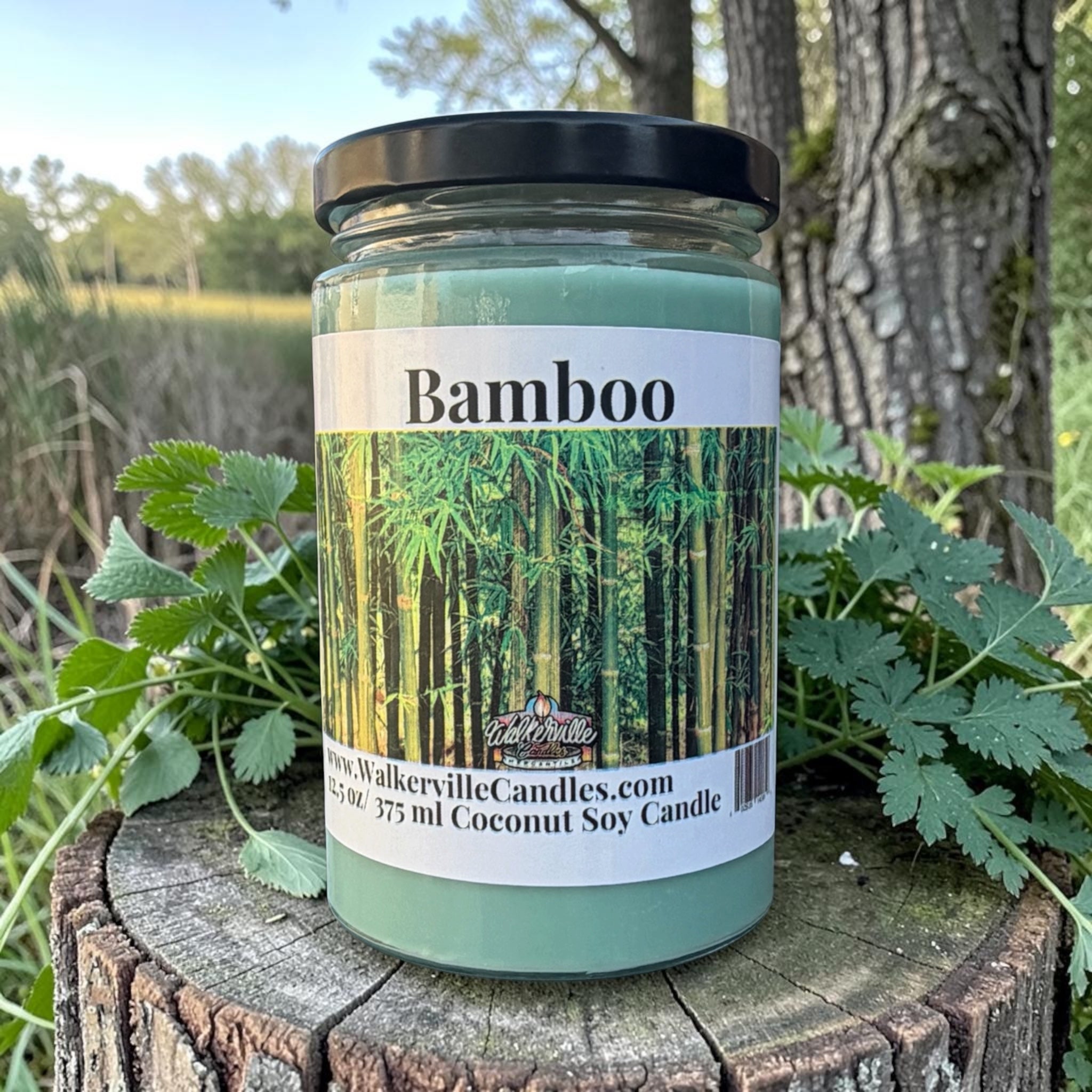 Bamboo Coconut Soy 12.5 oz/ 375 ml Candle