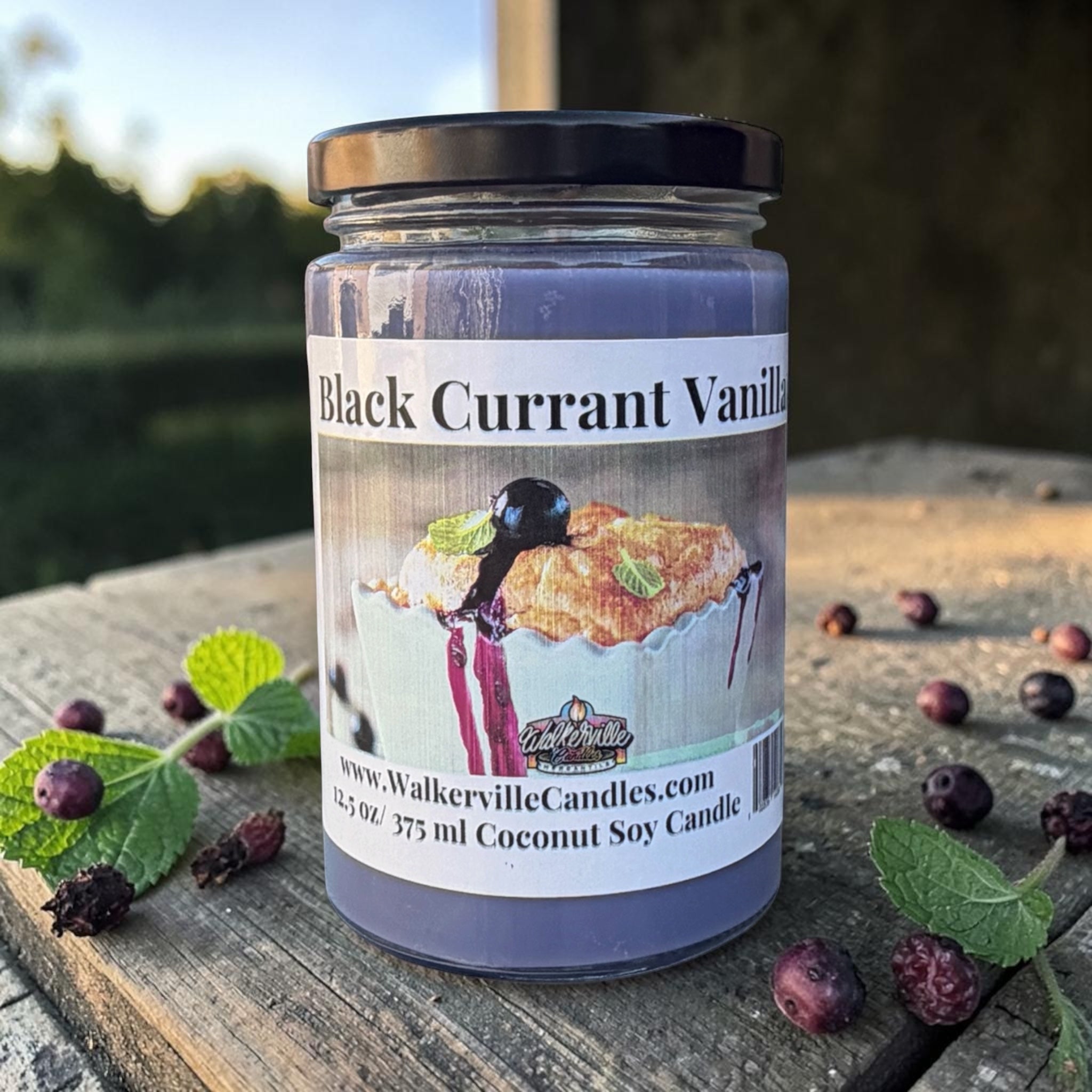 Black Currant Vanilla Coconut Soy 12.5 oz/ 375 ml Candle