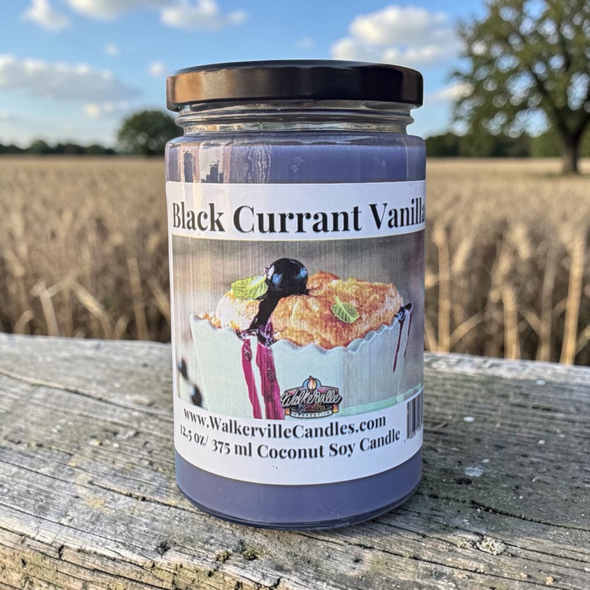 Black Currant Vanilla Coconut Soy 12.5 oz/ 375 ml Candle