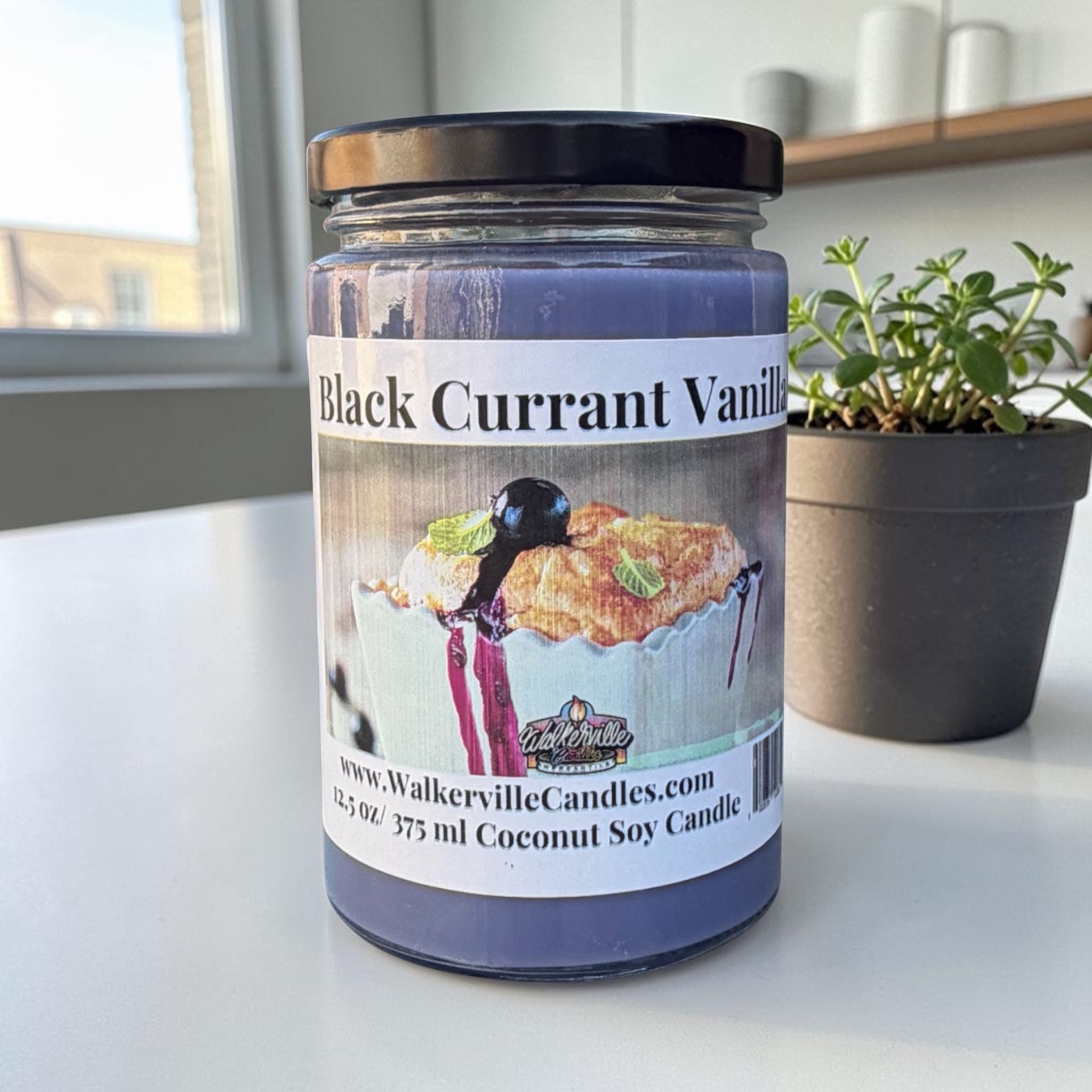 Black Currant Vanilla Coconut Soy 12.5 oz/ 375 ml Candle