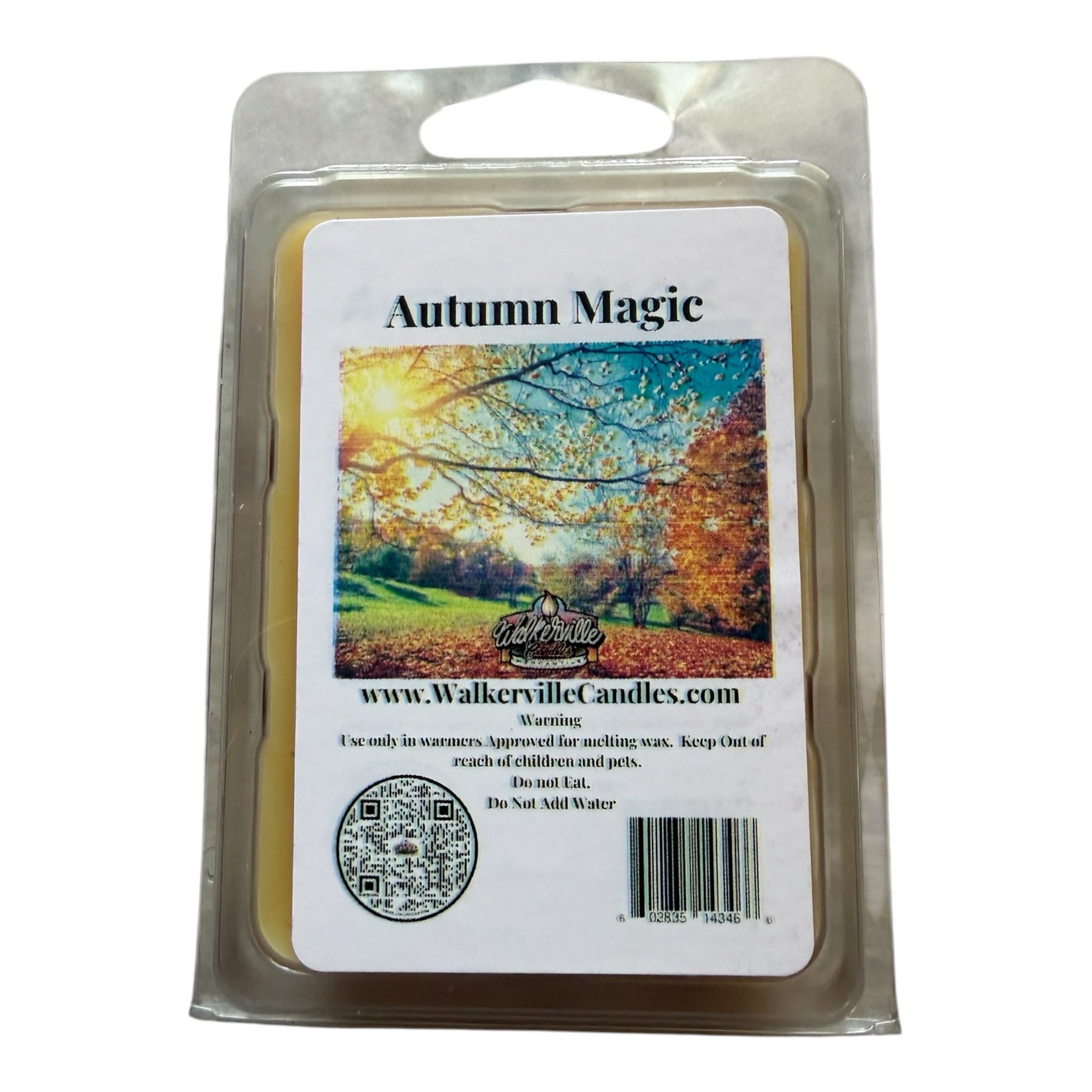 Autumn Magic Wax Melt