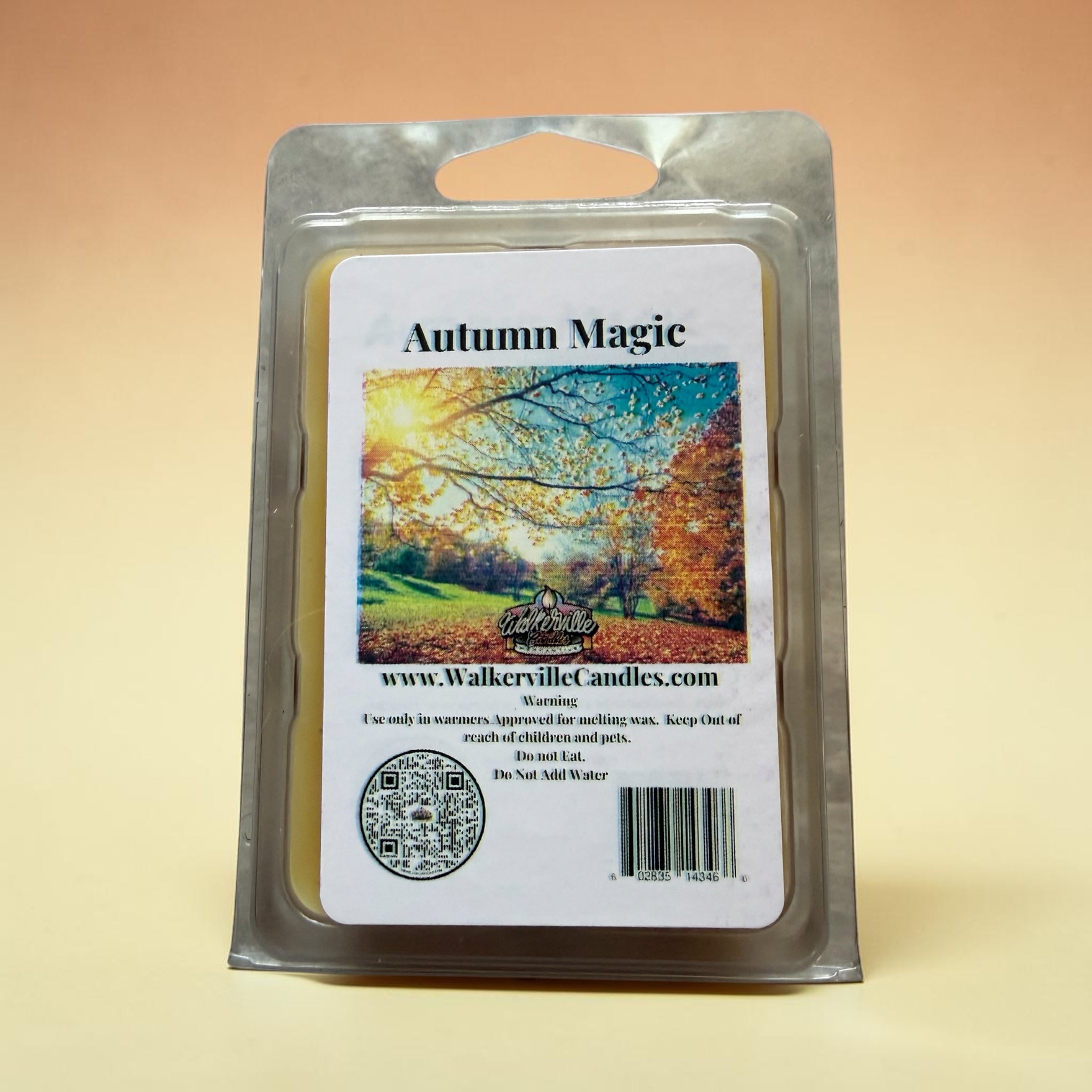 Autumn Magic Wax Melt