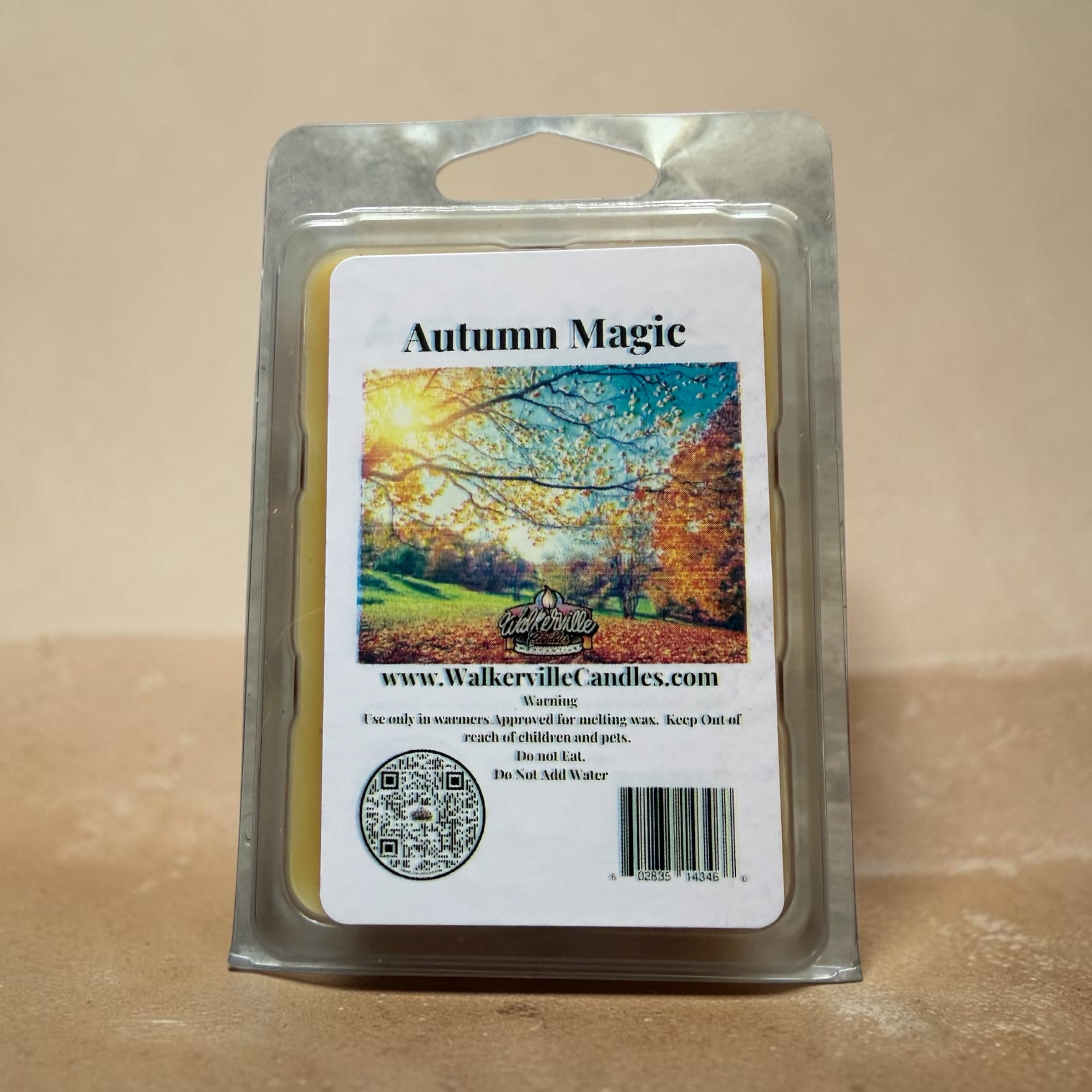Autumn Magic Wax Melt