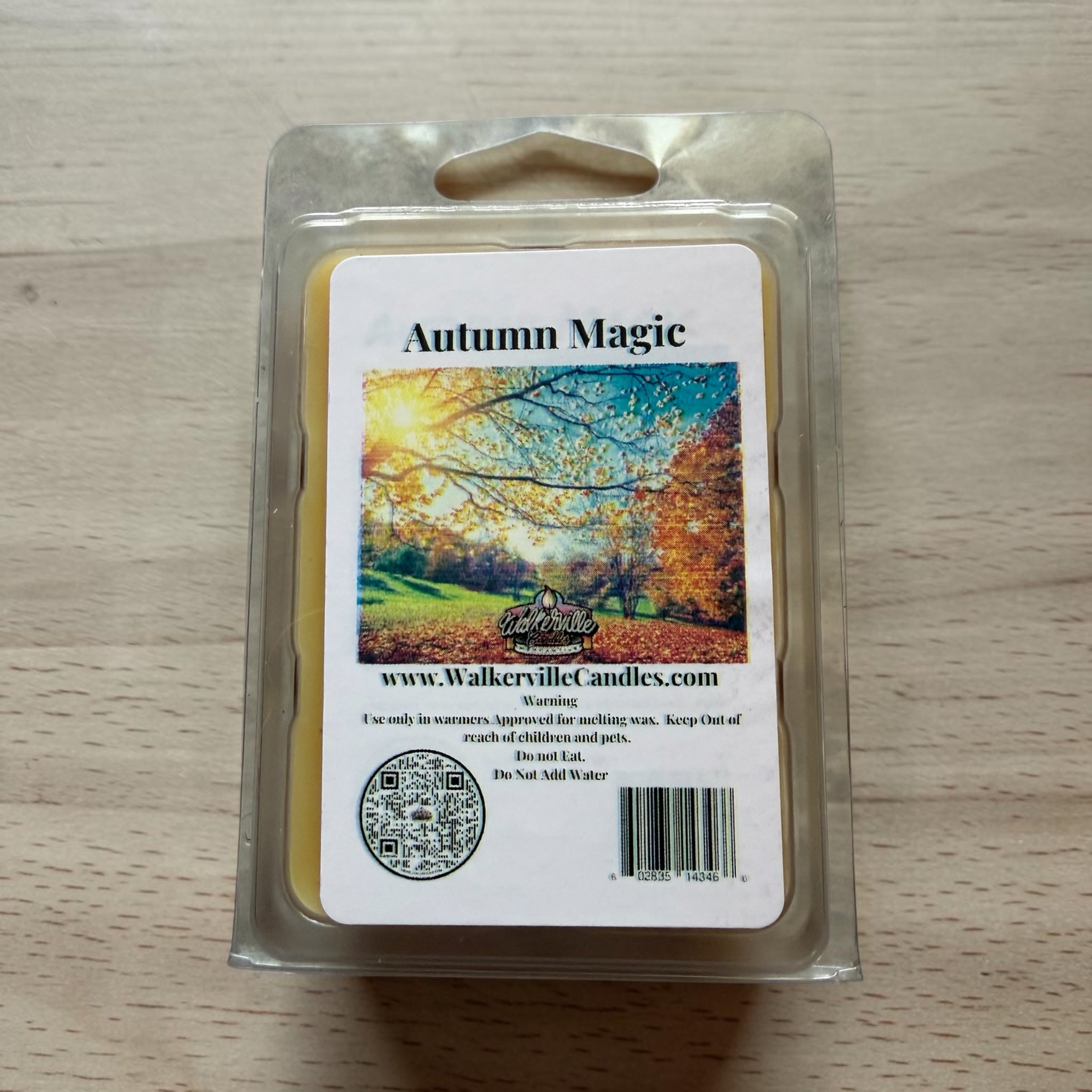 Autumn Magic Wax Melt