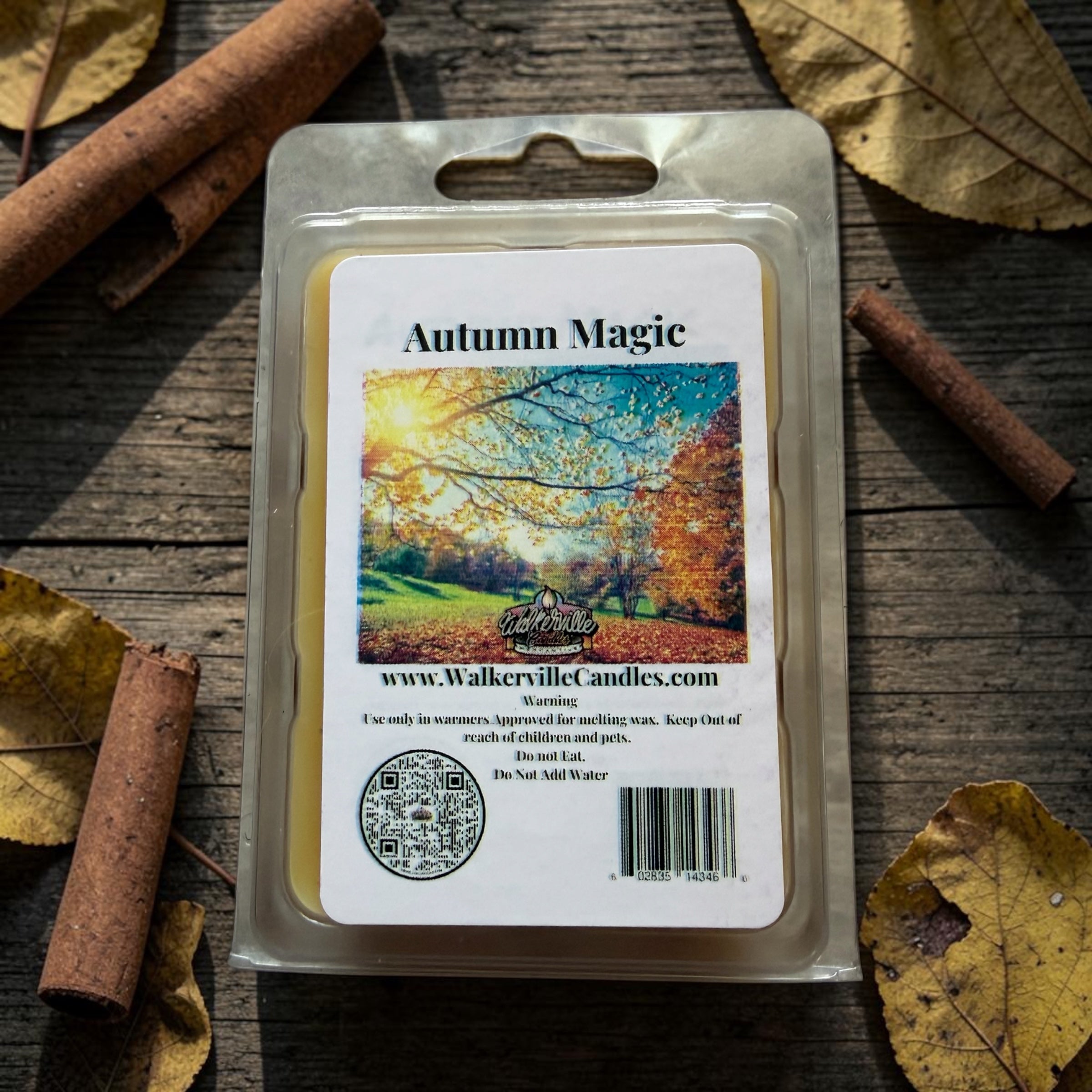 Autumn Magic Wax Melt