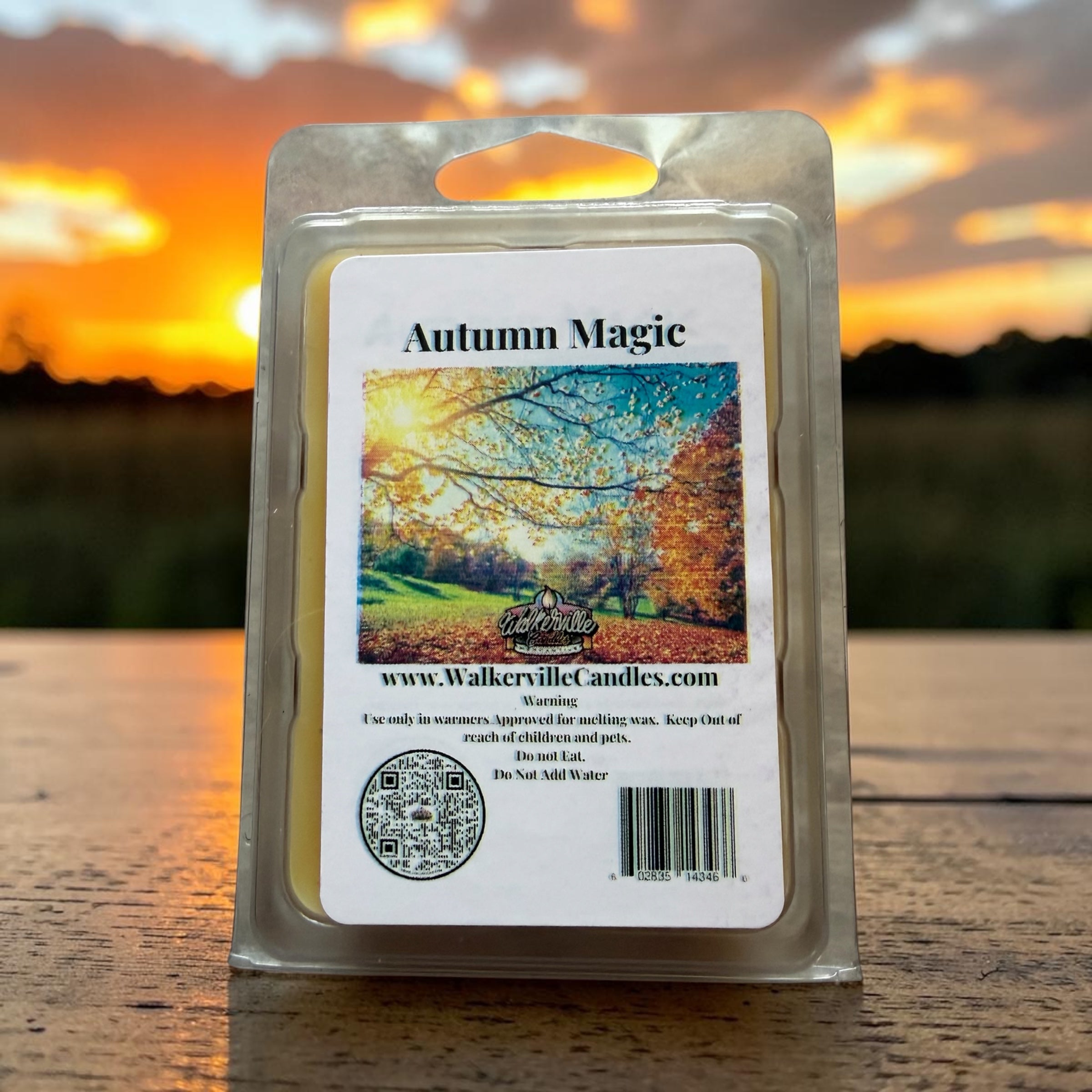 Autumn Magic Wax Melt