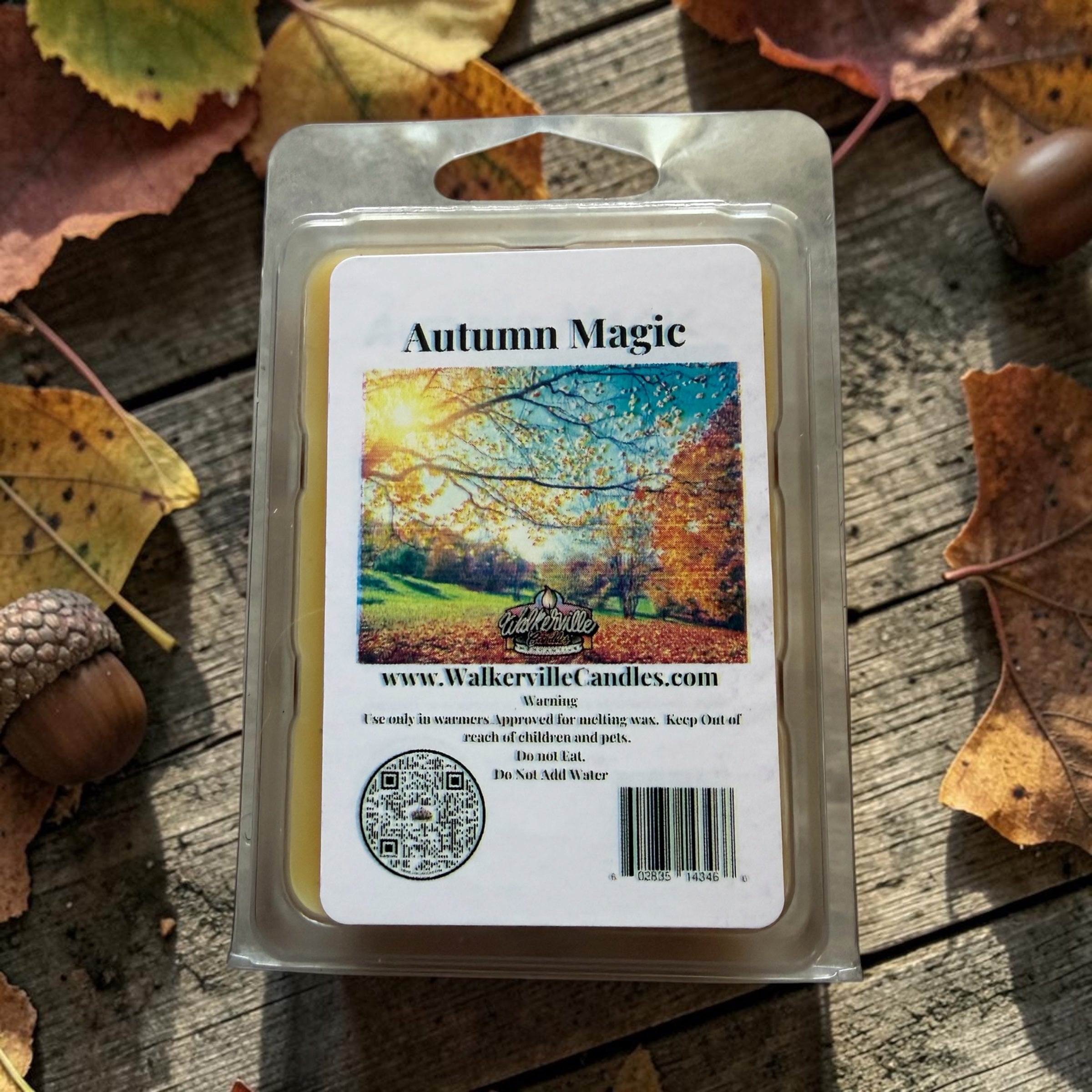 Autumn Magic Wax Melt