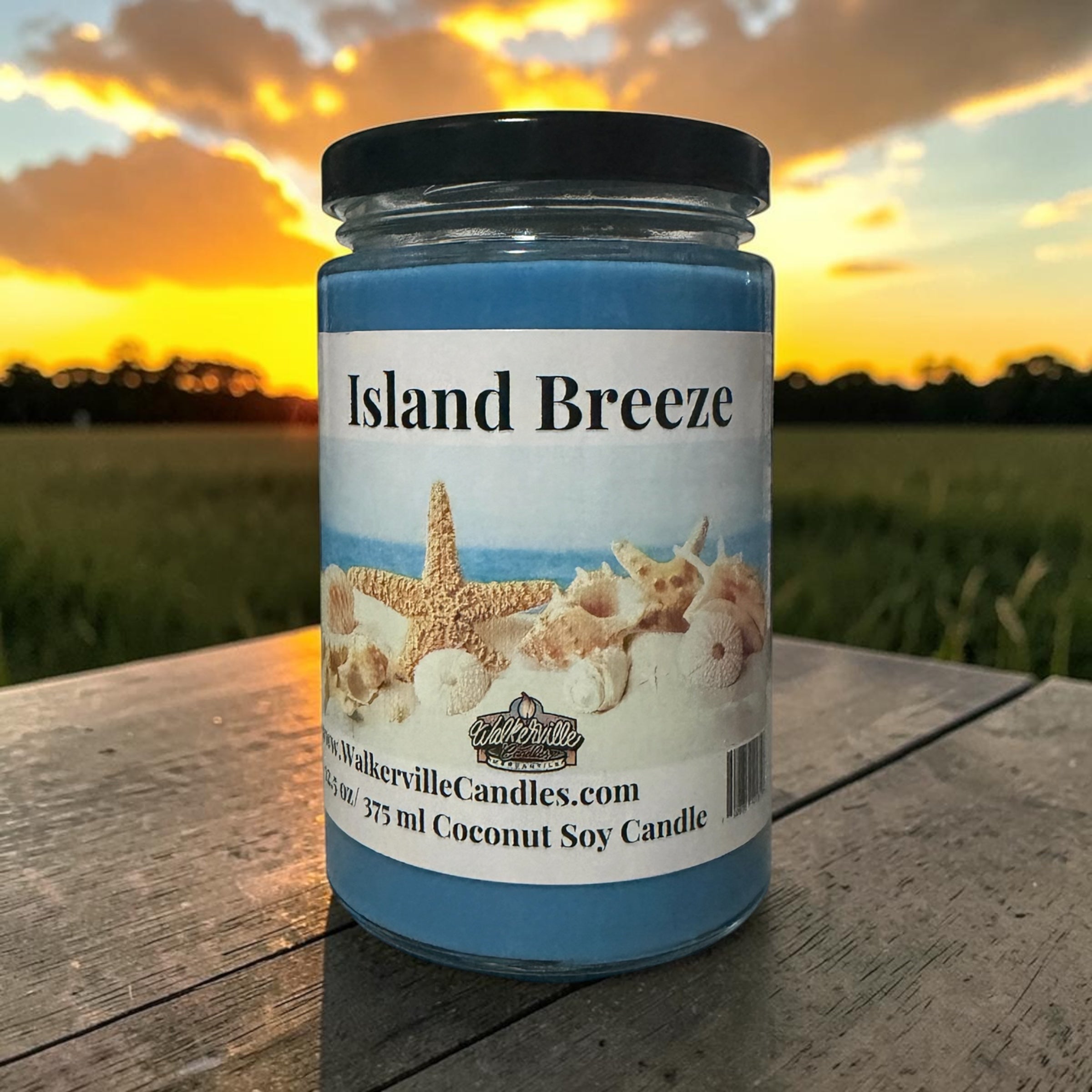 Island Breeze Coconut Soy 12.5 oz/ 375 ml Candle