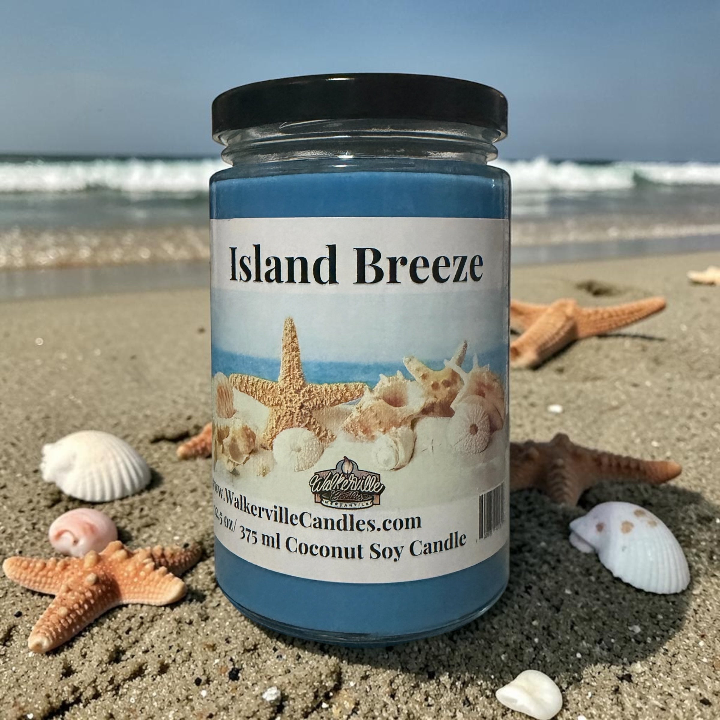 Island Breeze Coconut Soy 12.5 oz/ 375 ml Candle