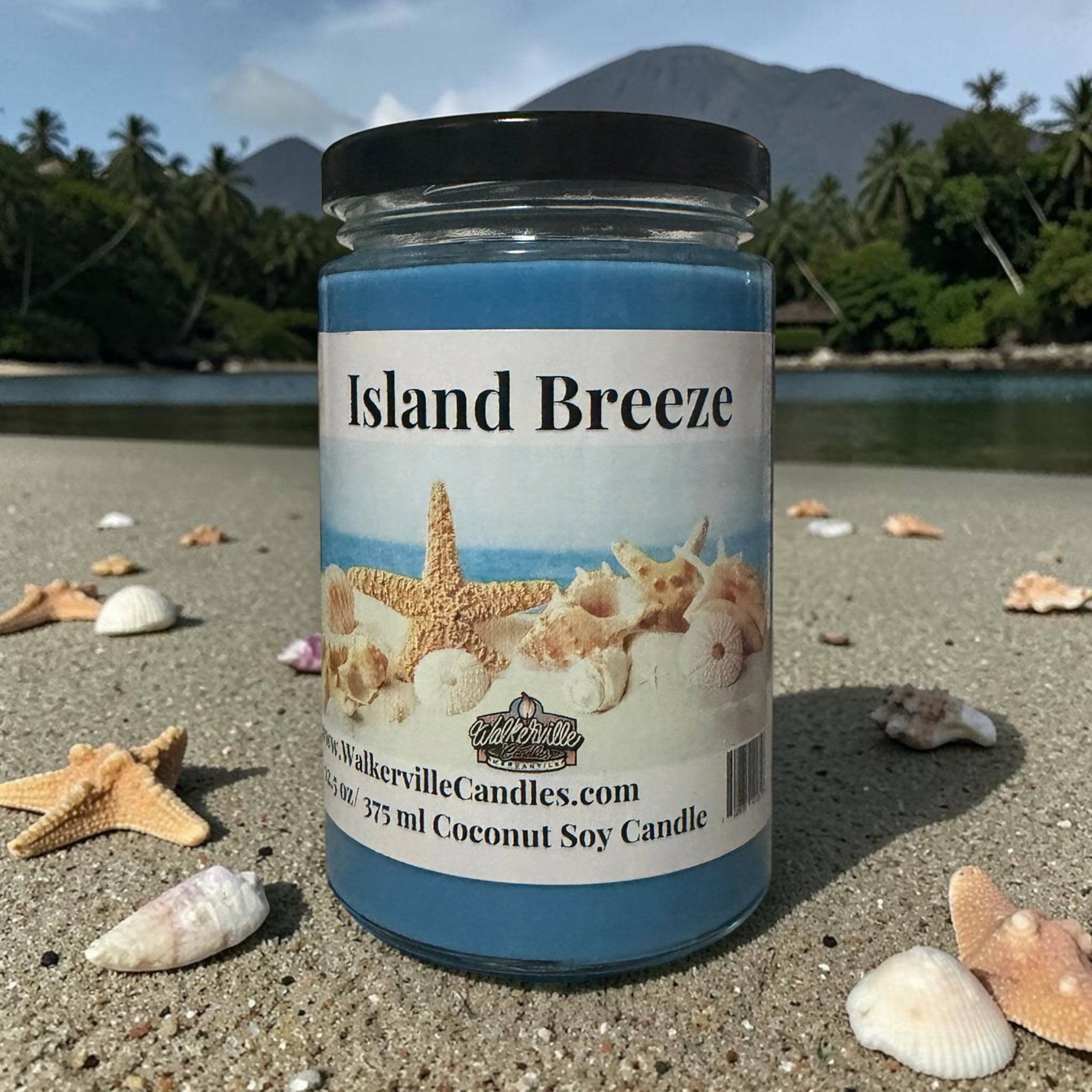 Island Breeze Coconut Soy 12.5 oz/ 375 ml Candle