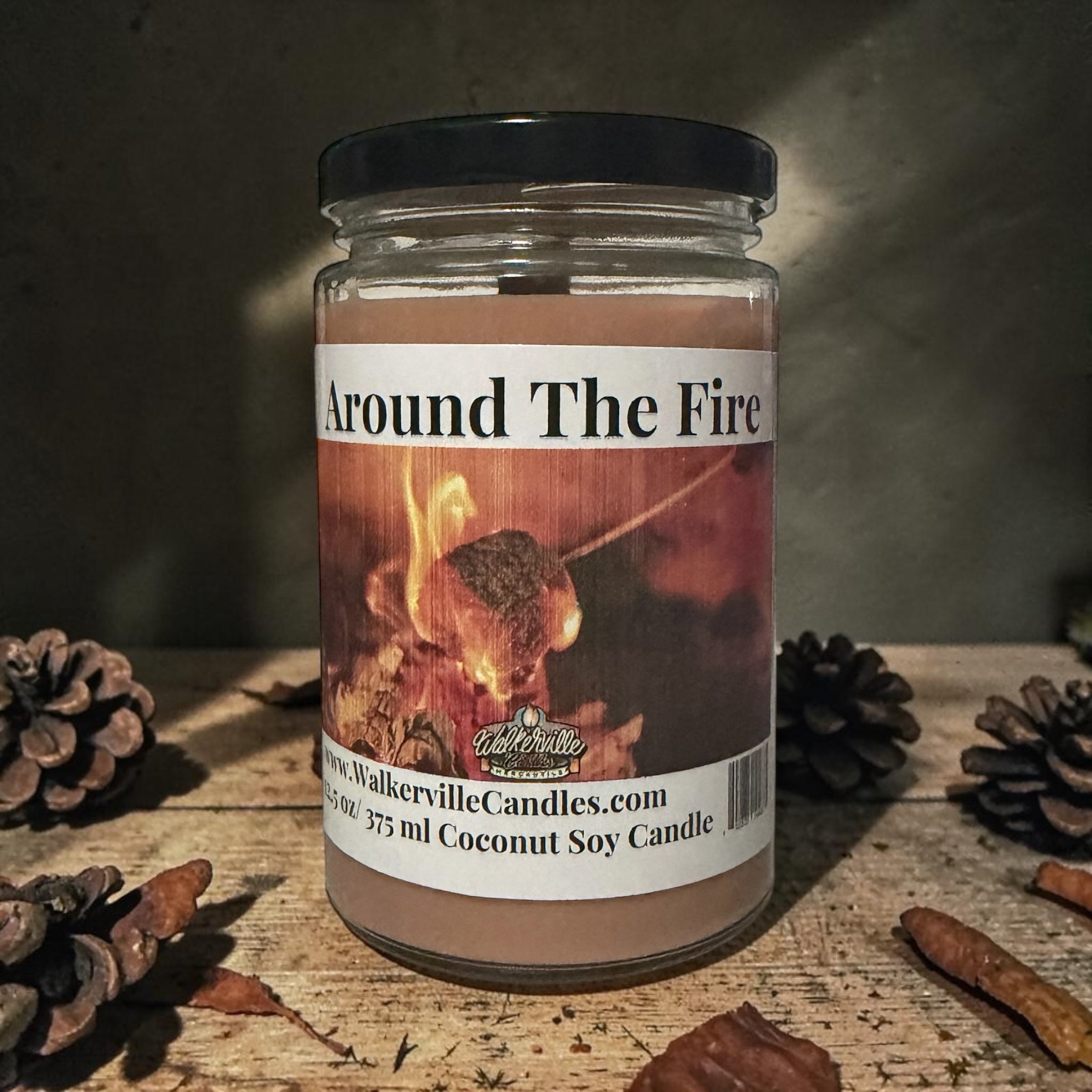 Around The Fire Coconut Soy 12.5 oz/ 375 ml Candle