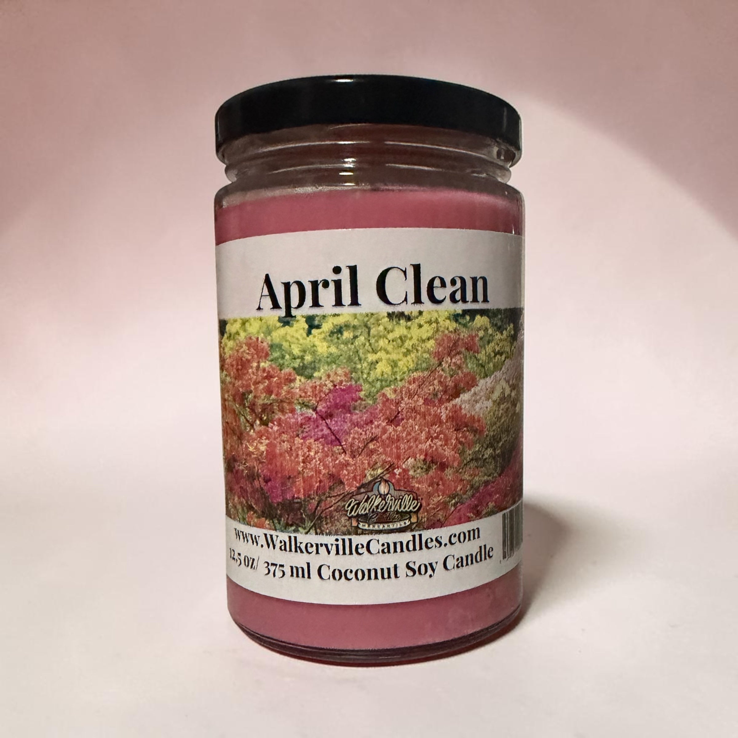 April Clean Coconut Soy 12.5 oz/ 375 ml Candle