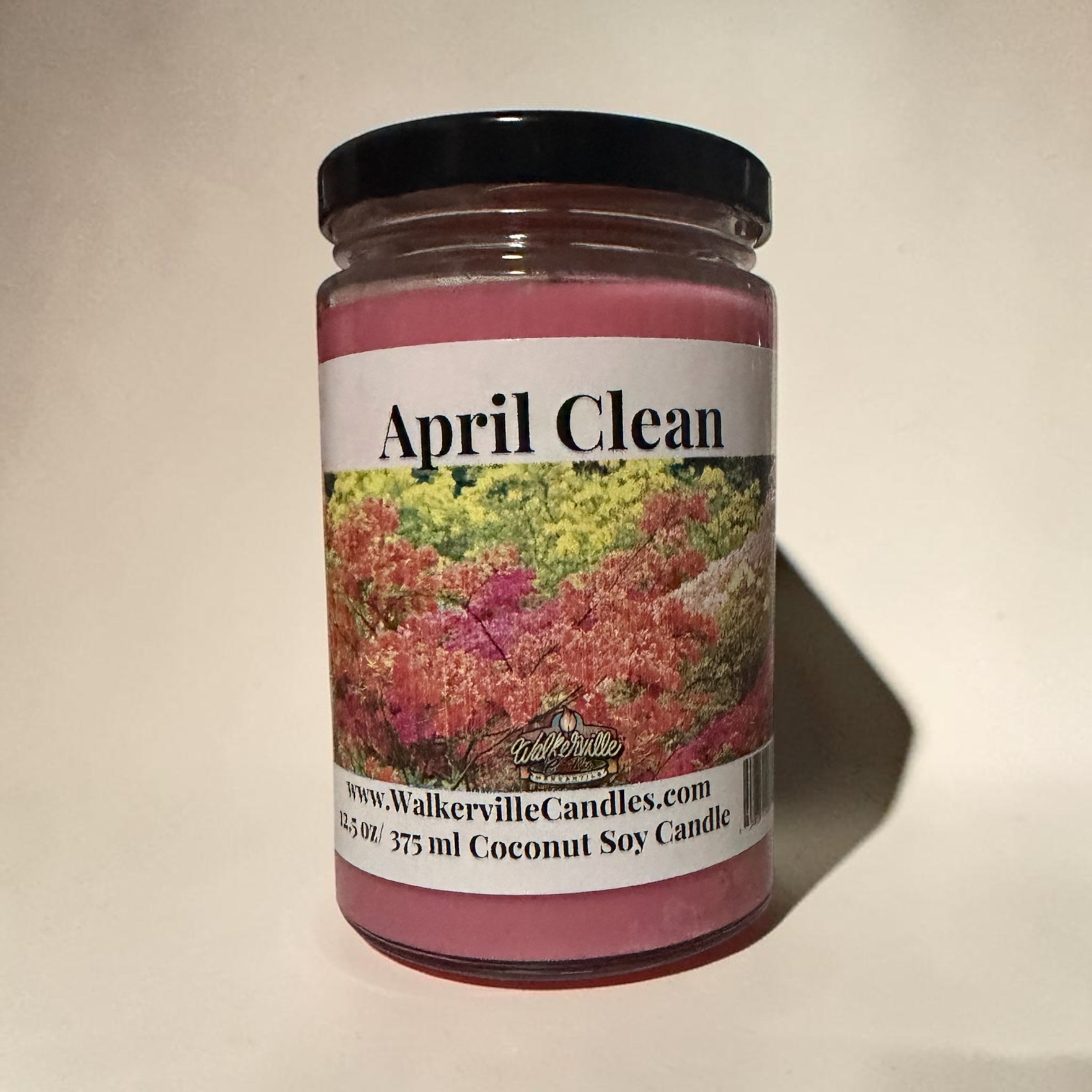 April Clean Coconut Soy 12.5 oz/ 375 ml Candle