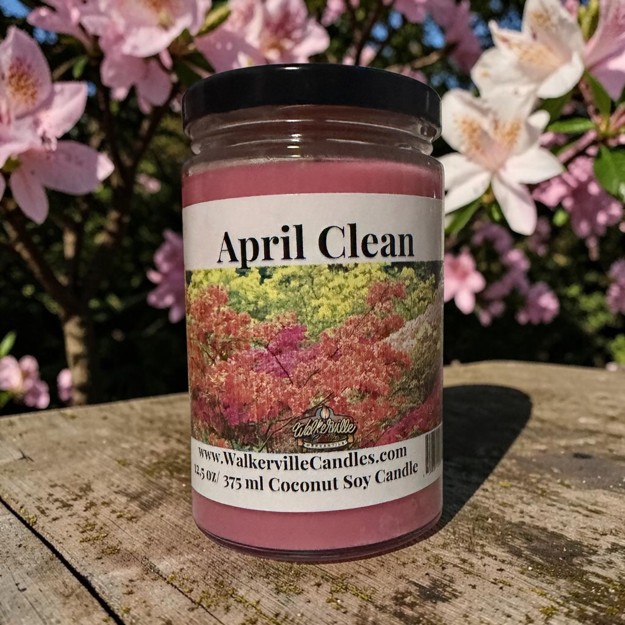 April Clean Coconut Soy 12.5 oz/ 375 ml Candle