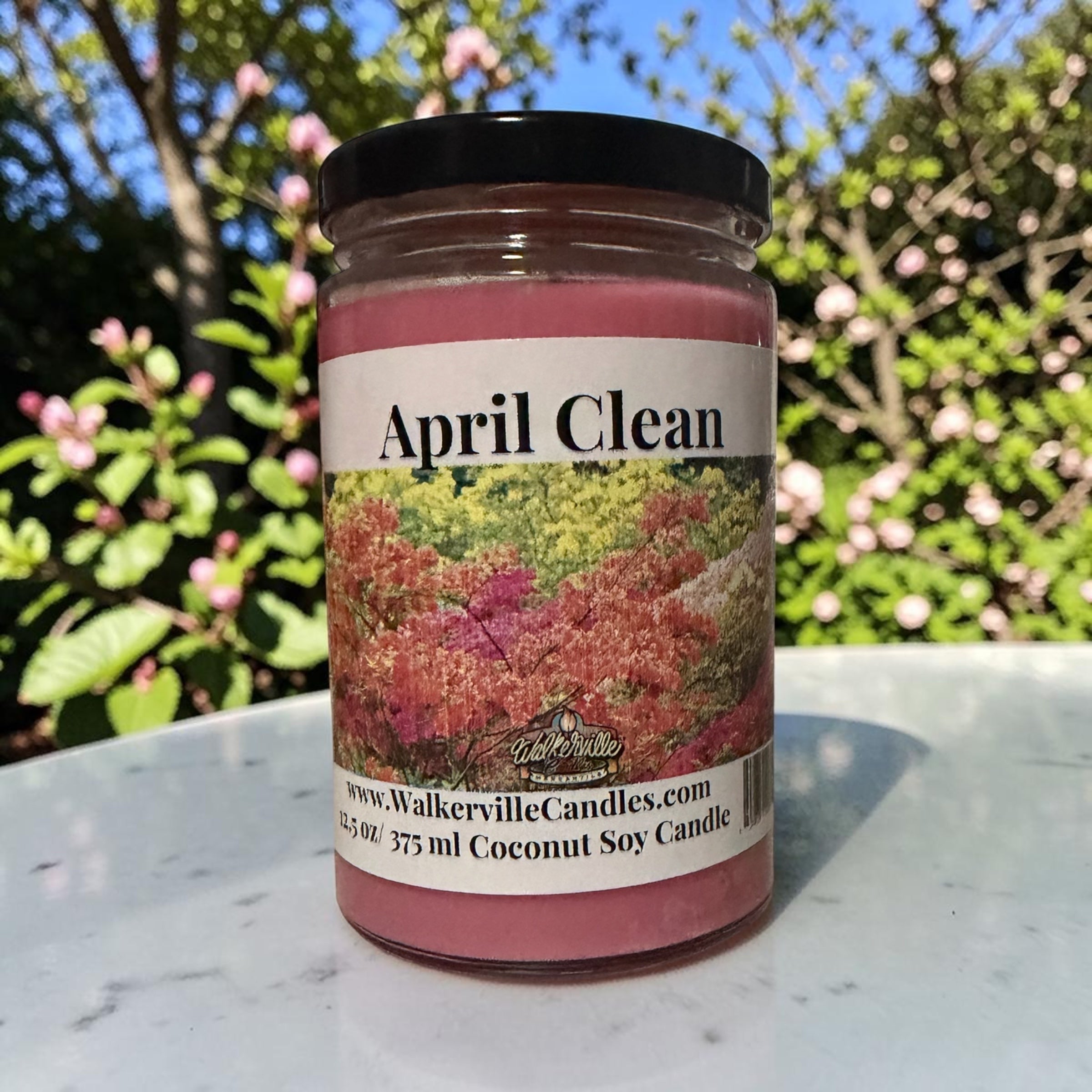 April Clean Coconut Soy 12.5 oz/ 375 ml Candle