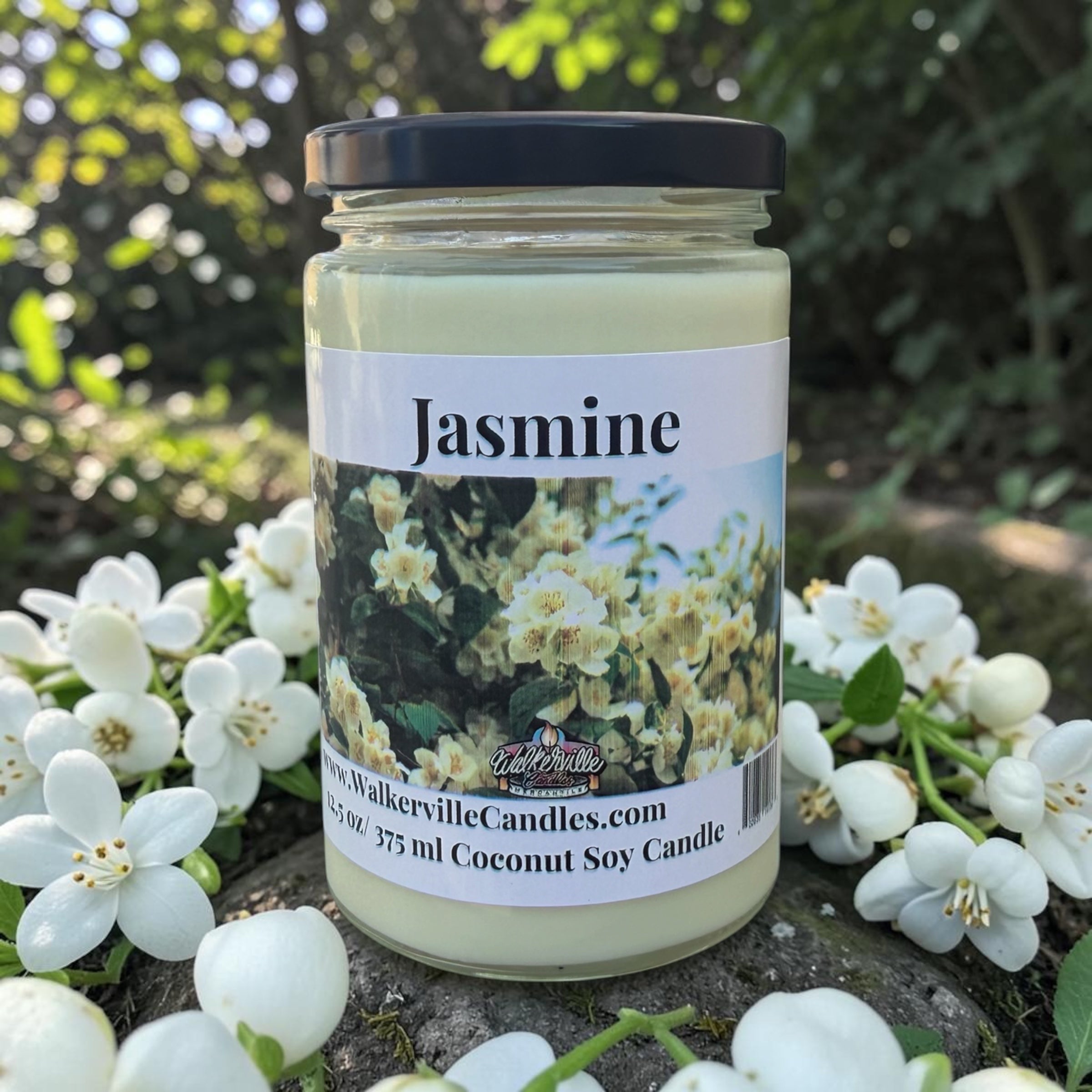 Jasmine Coconut Soy 12.5 oz/ 375 ml Candle Wood Wick