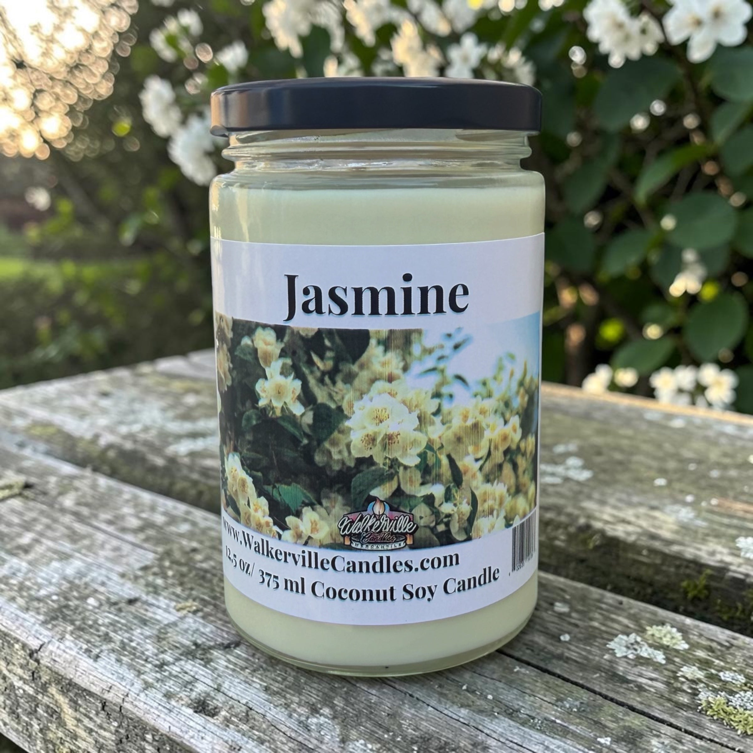 Jasmine Coconut Soy 12.5 oz/ 375 ml Candle