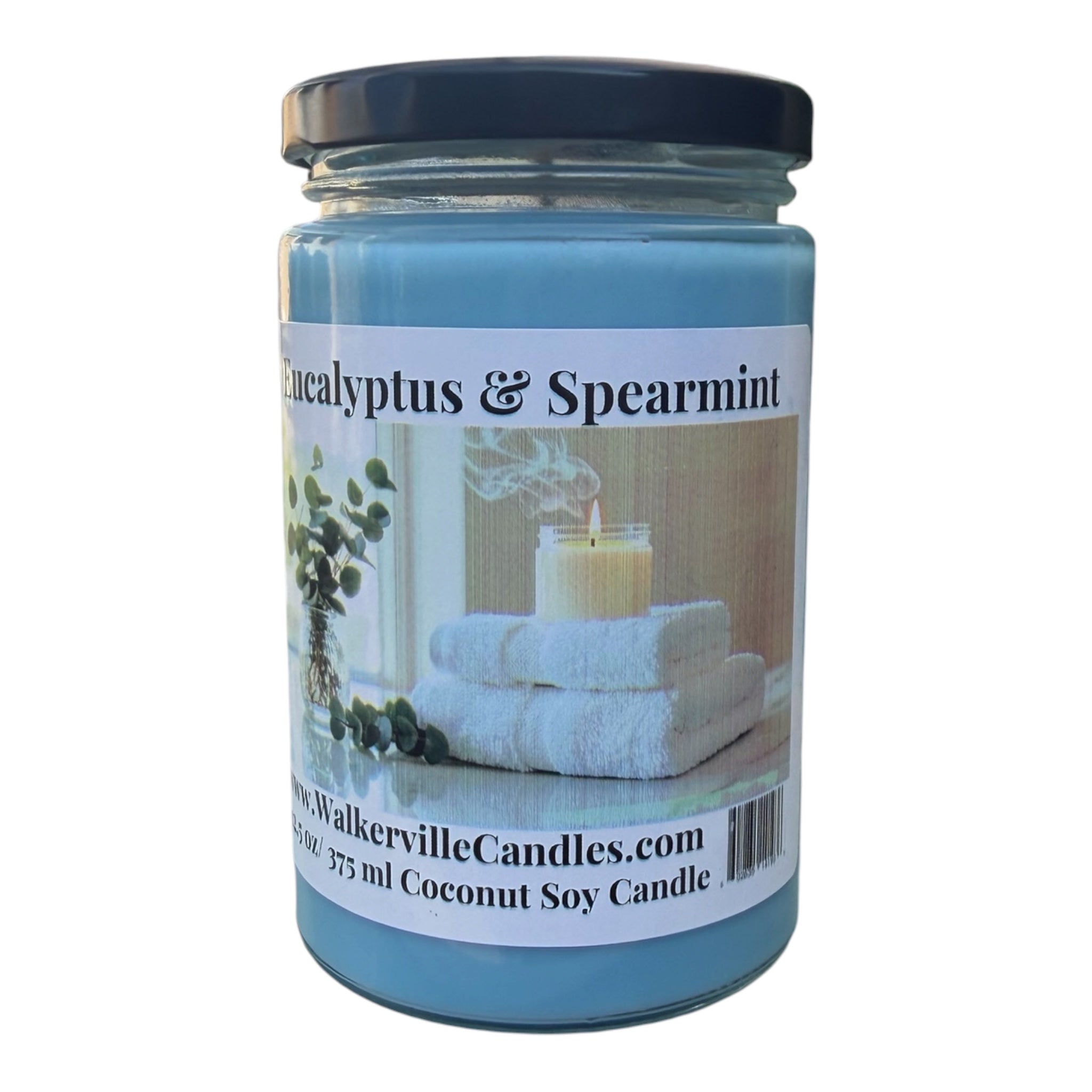 Eucalyptus & Spearmint Coconut Soy 12.5 oz/ 375 ml Candle