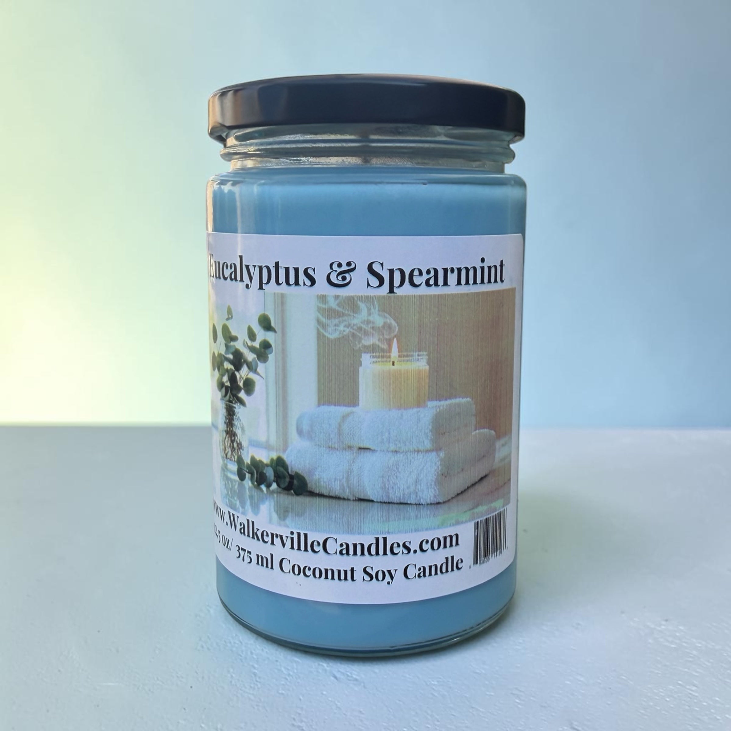Eucalyptus & Spearmint Coconut Soy 12.5 oz/ 375 ml Candle