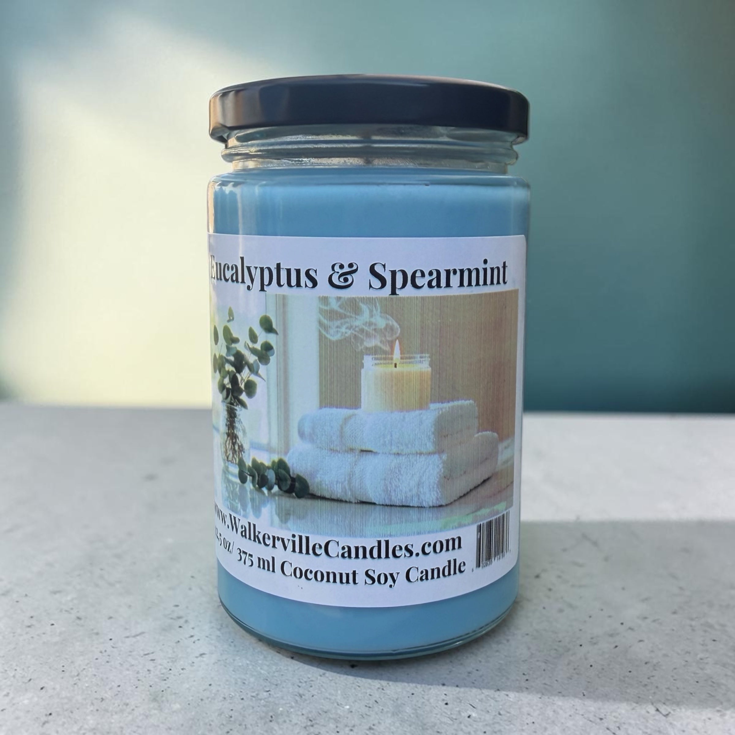 Eucalyptus & Spearmint Coconut Soy 12.5 oz/ 375 ml Candle