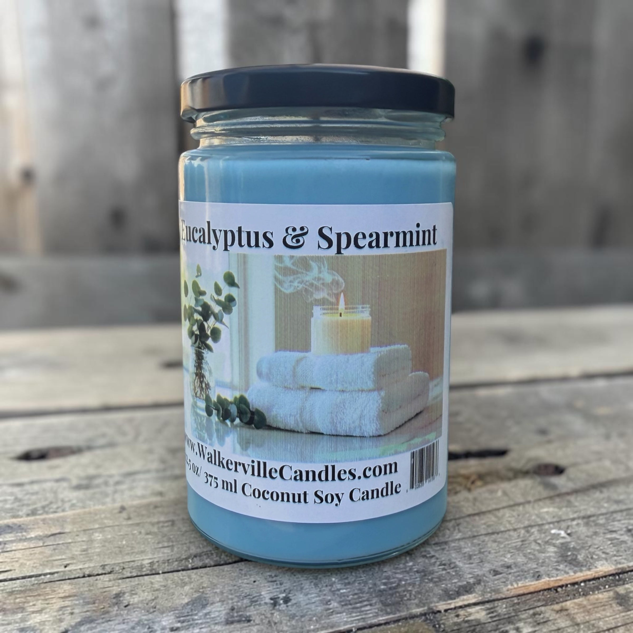 Eucalyptus & Spearmint Coconut Soy 12.5 oz/ 375 ml Candle