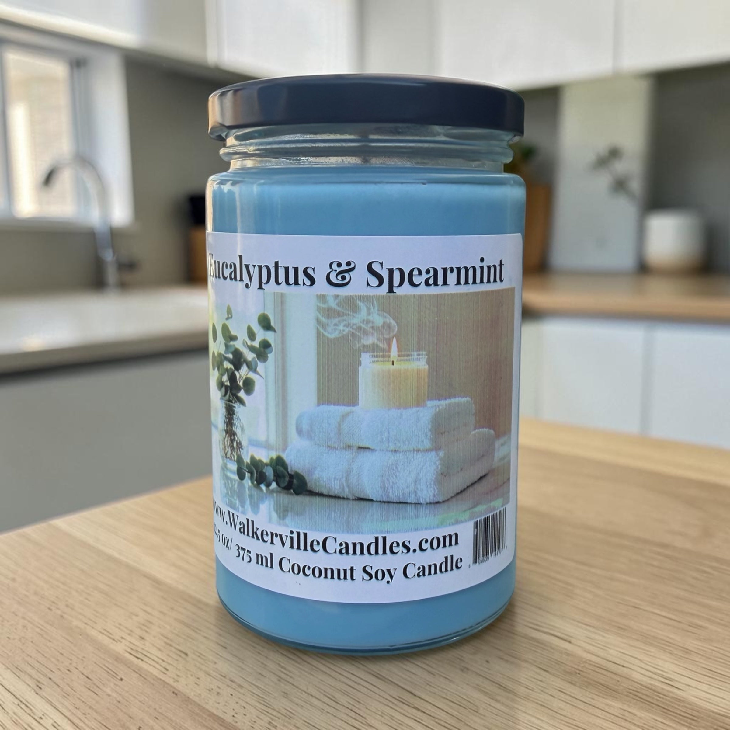 Eucalyptus & Spearmint Coconut Soy 12.5 oz/ 375 ml Candle