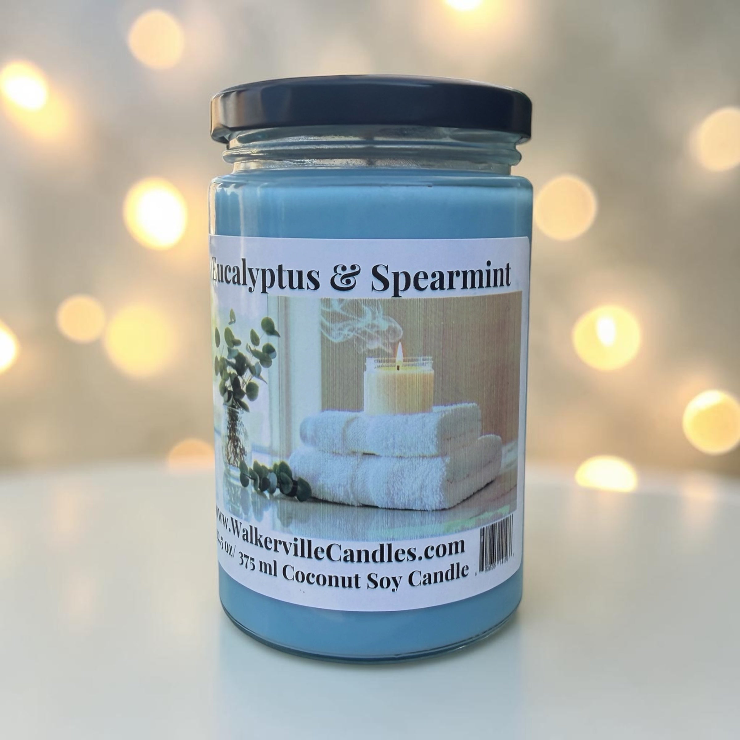 Eucalyptus & Spearmint Coconut Soy 12.5 oz/ 375 ml Candle