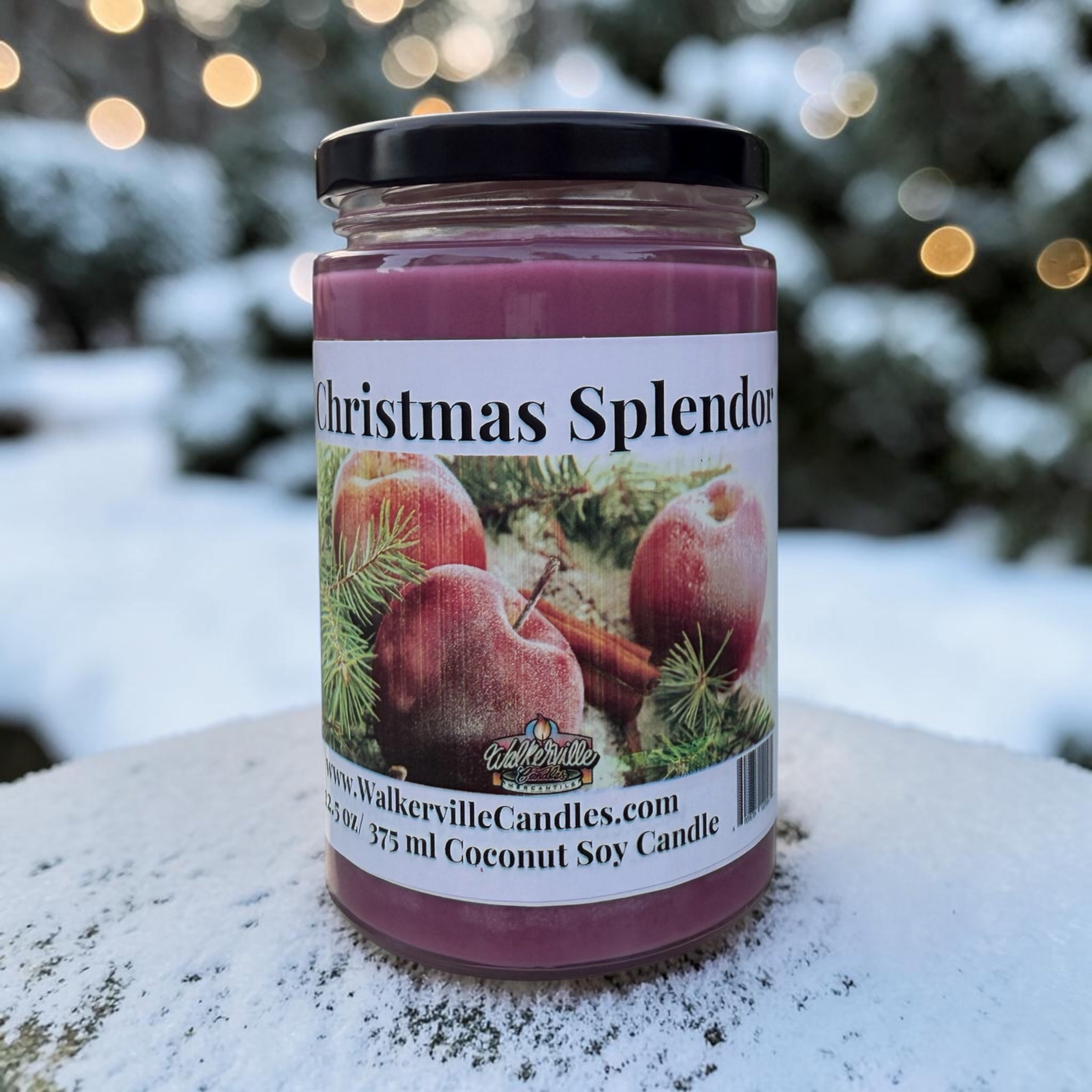 Christmas Splendor Coconut Soy 12.5 oz/ 375 ml Candle