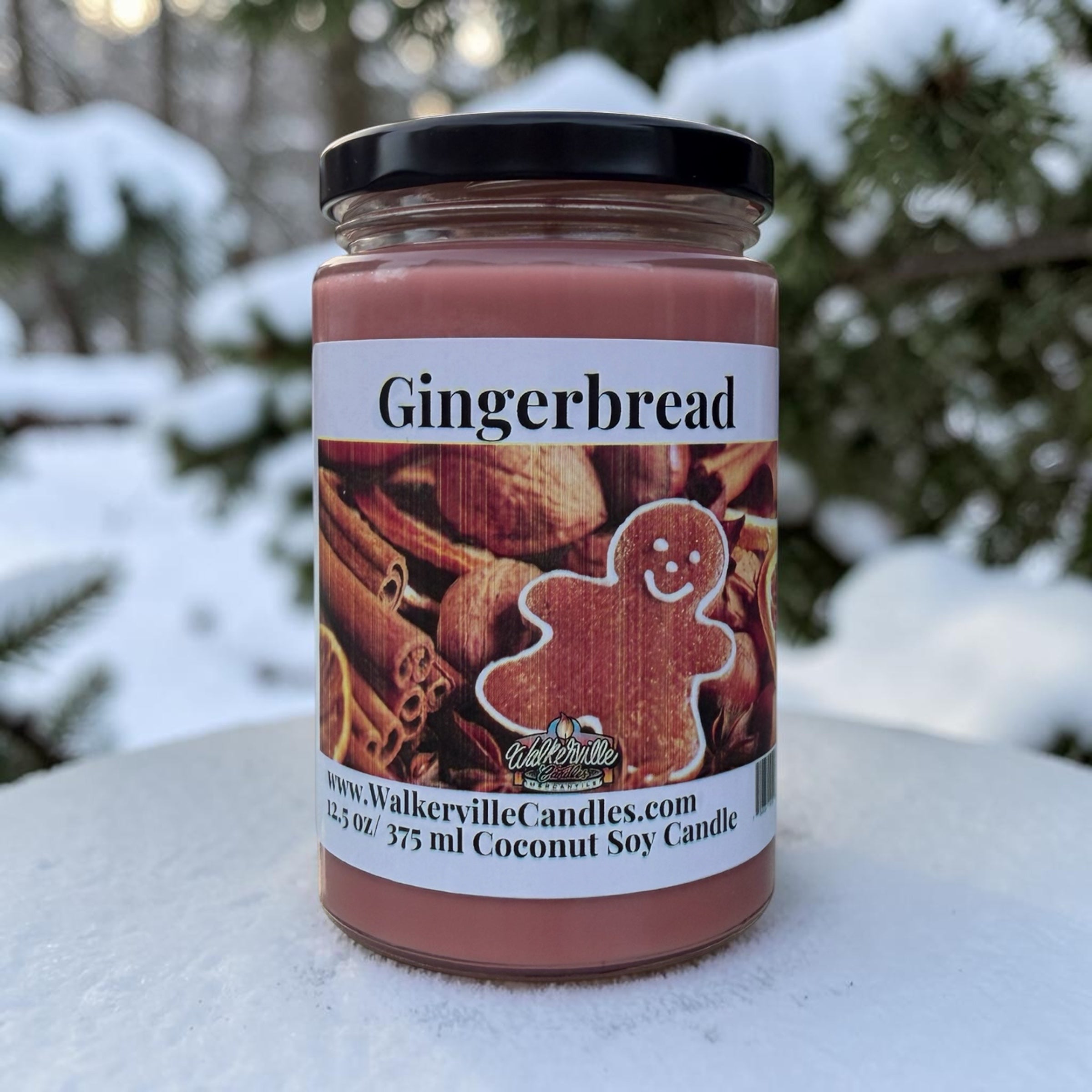 Gingerbread Coconut Soy 12.5 oz/ 375 ml Candle
