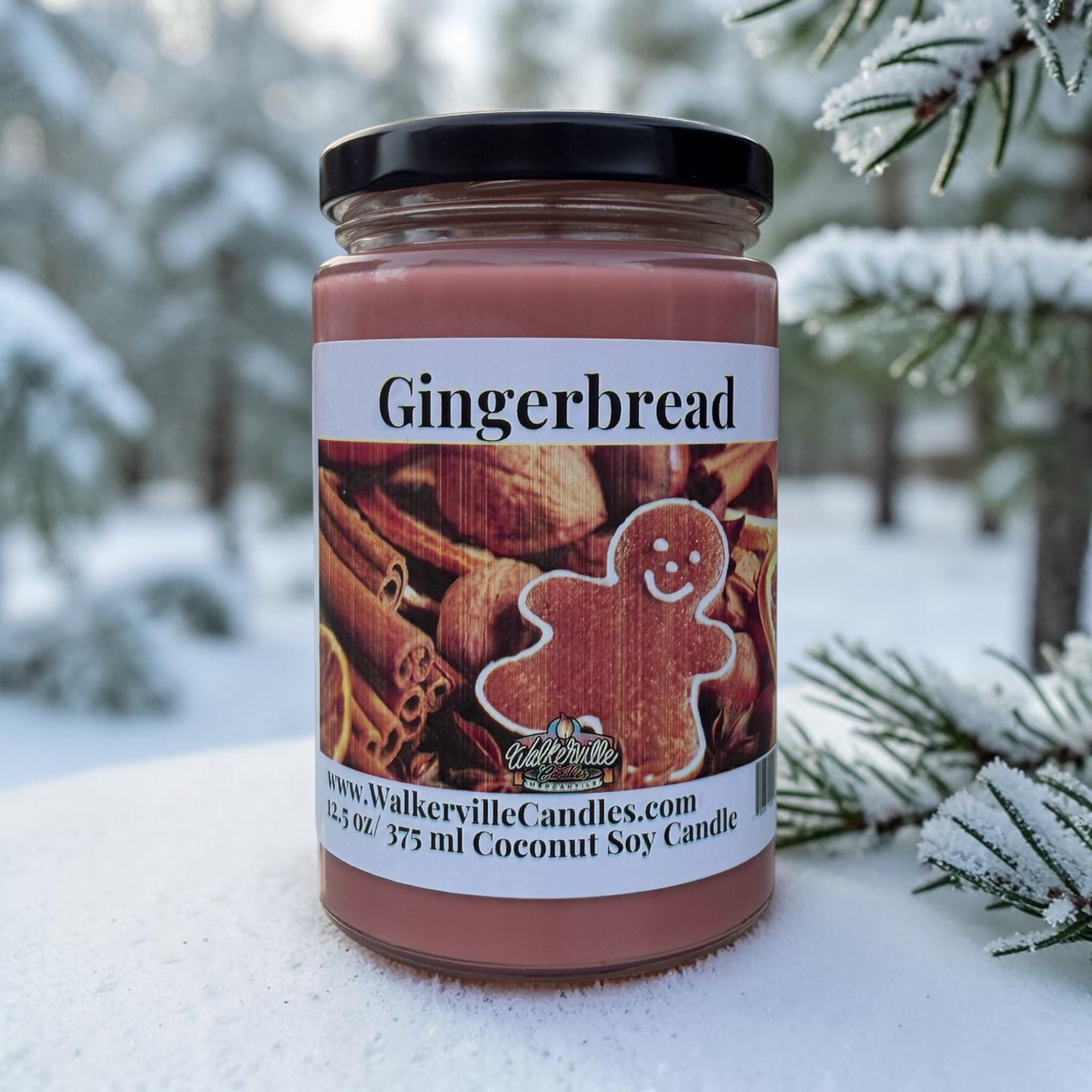 Gingerbread Coconut Soy 12.5 oz/ 375 ml Candle